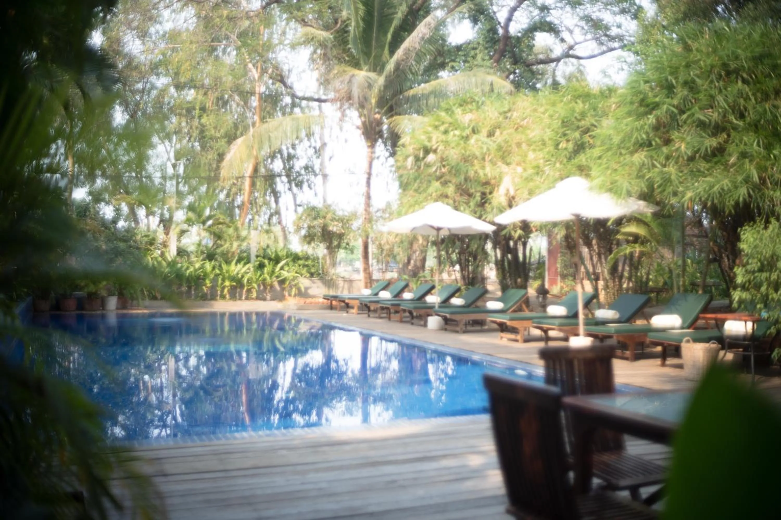 Garden in Sambor Village Hotel