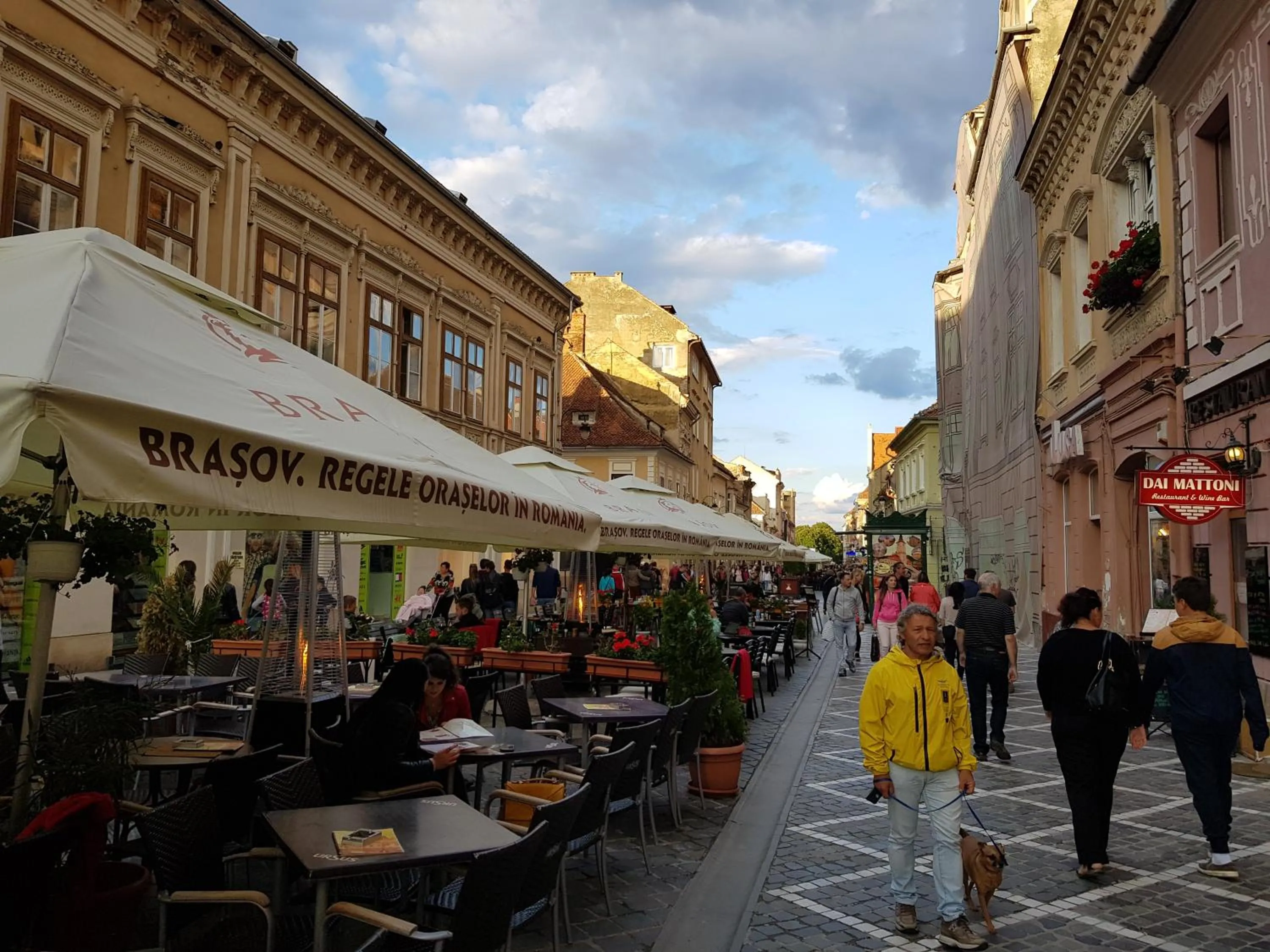 Restaurant/places to eat in Wood House Republicii