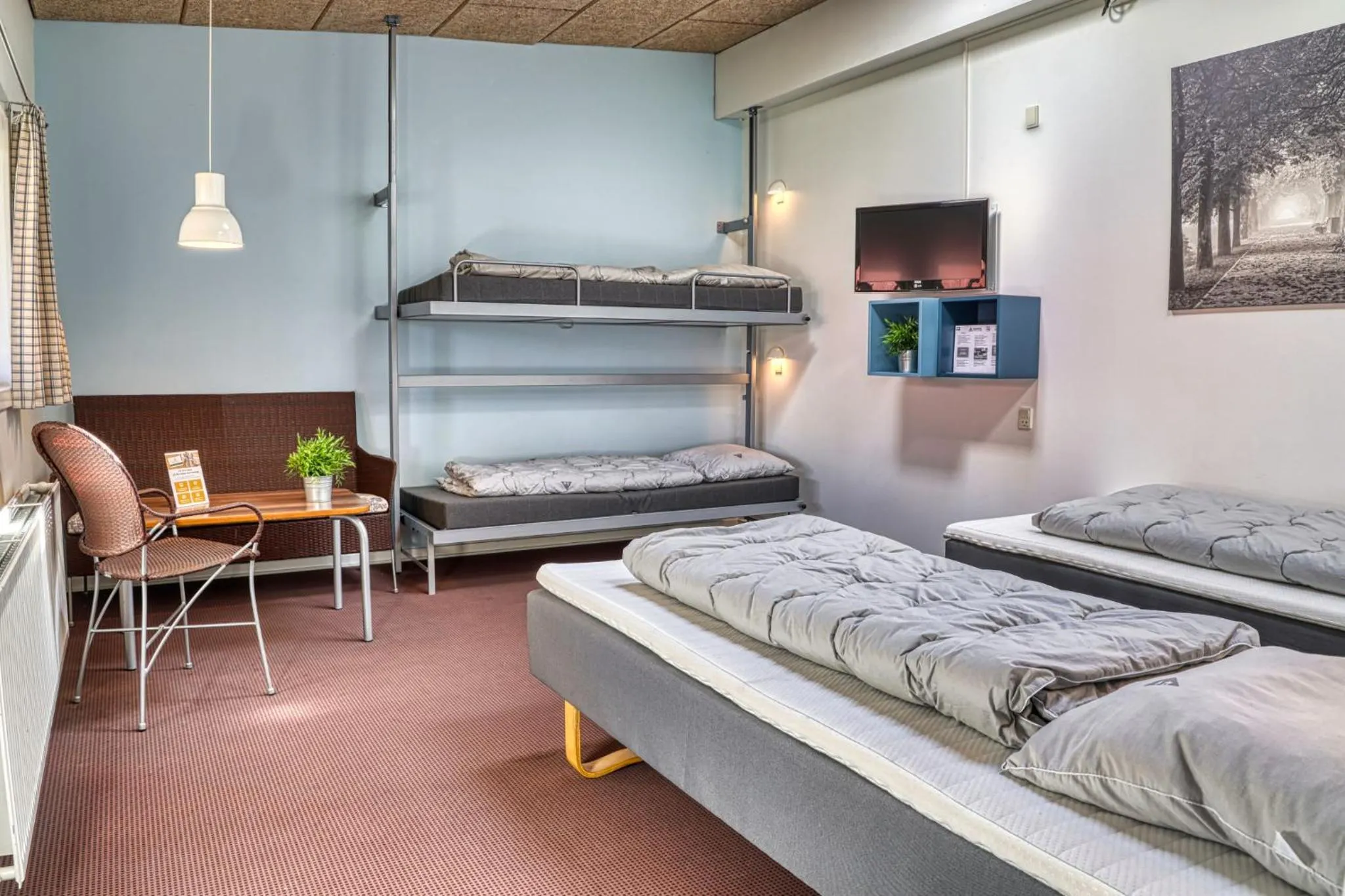 bunk bed, Bed in Danhostel Ishøj Strand