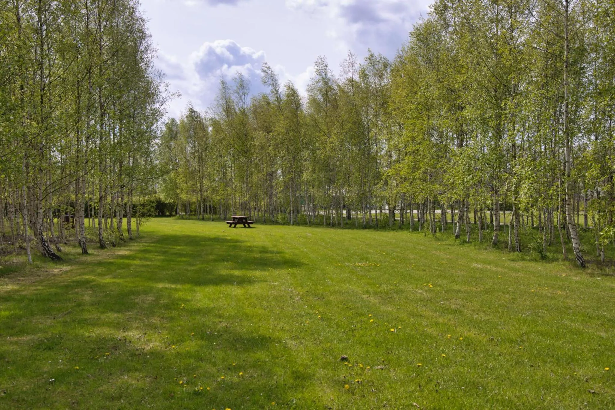 Natural landscape in Danhostel Ishøj Strand