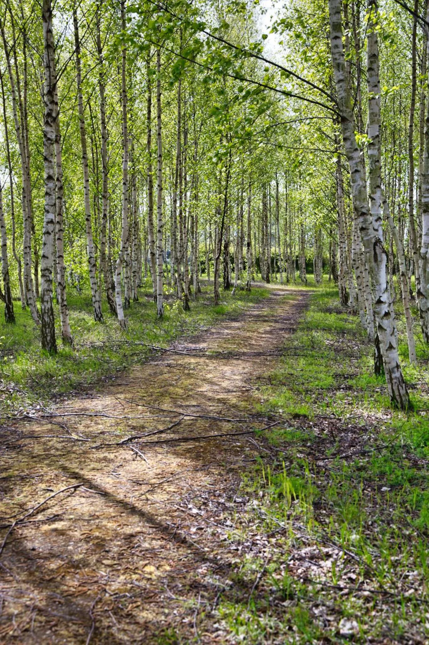 Natural landscape in Danhostel Ishøj Strand