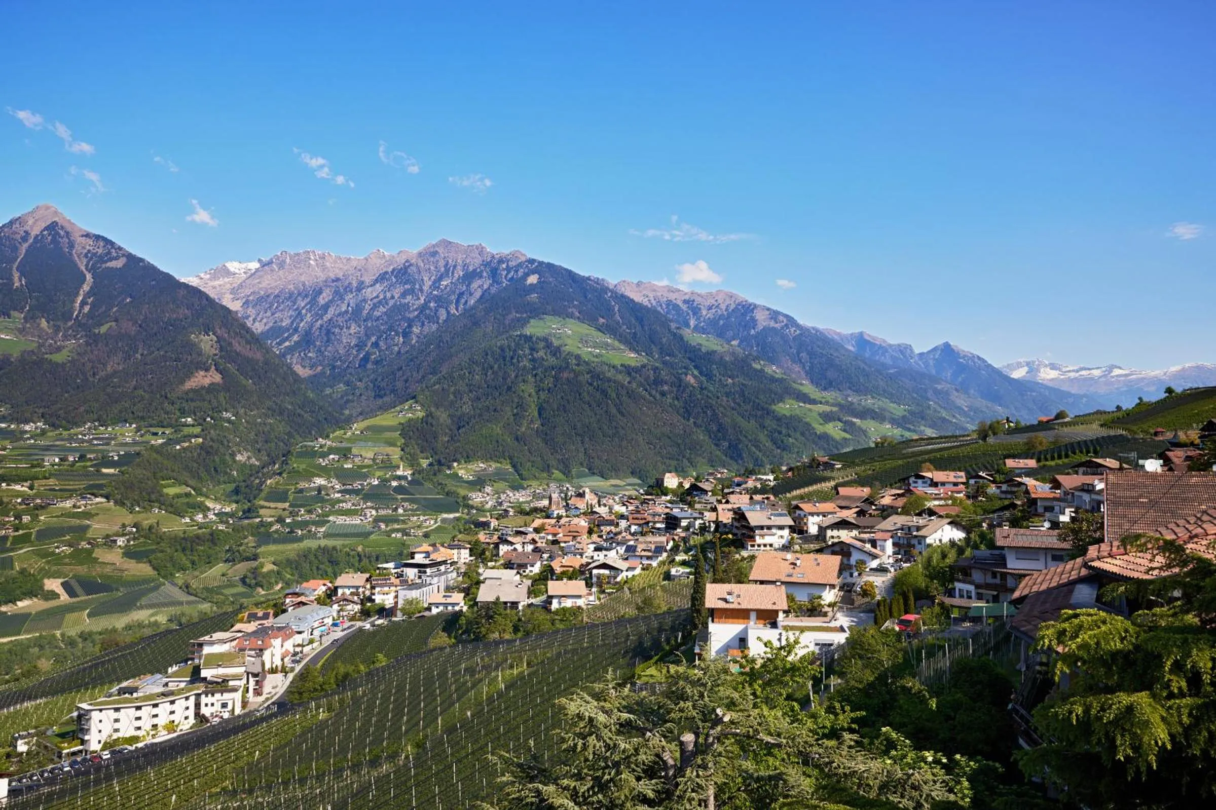 View (from property/room) in Hotel-Garni Ehrenfels