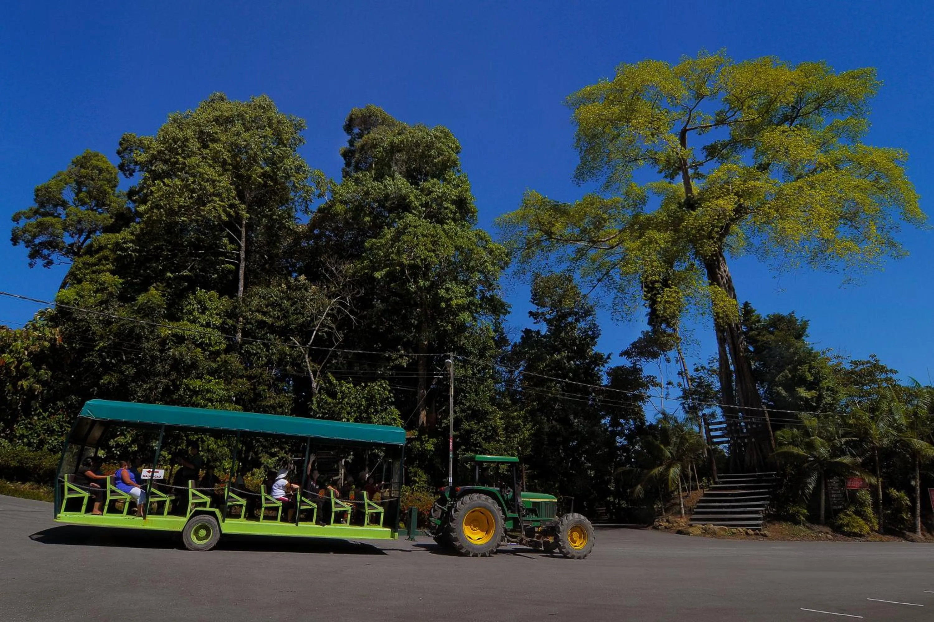 Activities in Borneo Tropical Rainforest Resort