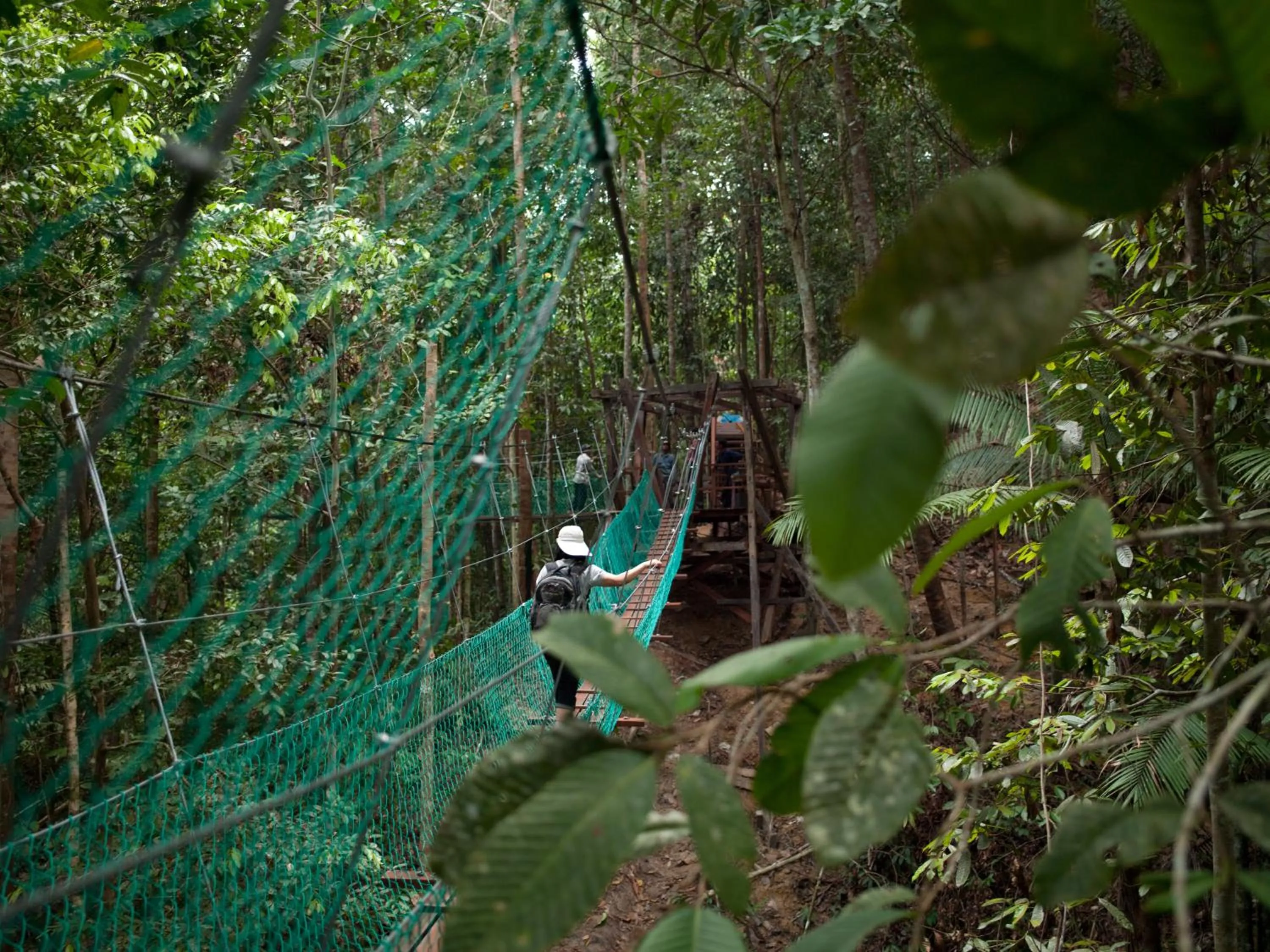 Activities in Borneo Tropical Rainforest Resort