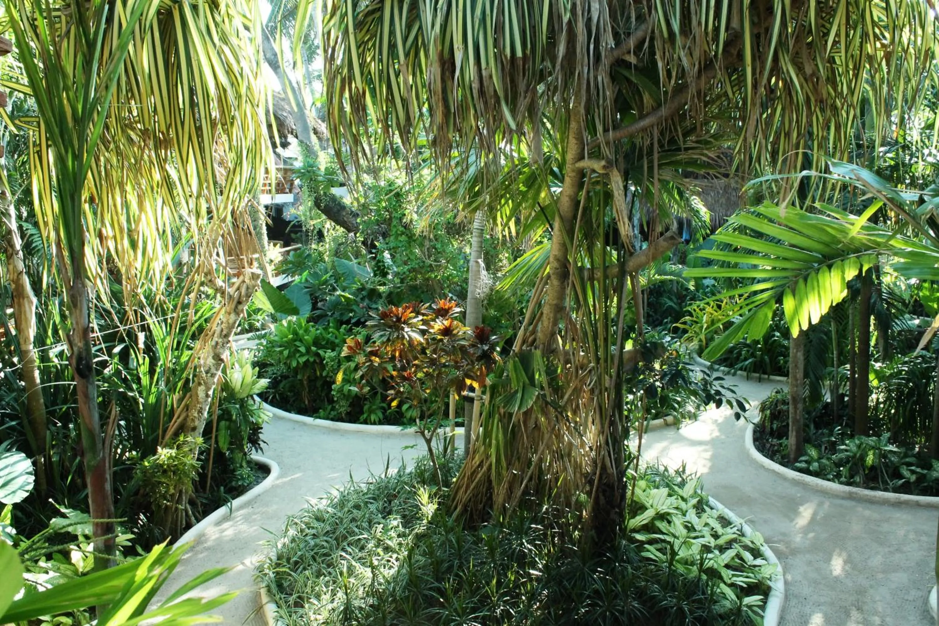 Garden in Nigi Nigi Nu Noos 'e' Nu Nu Noos