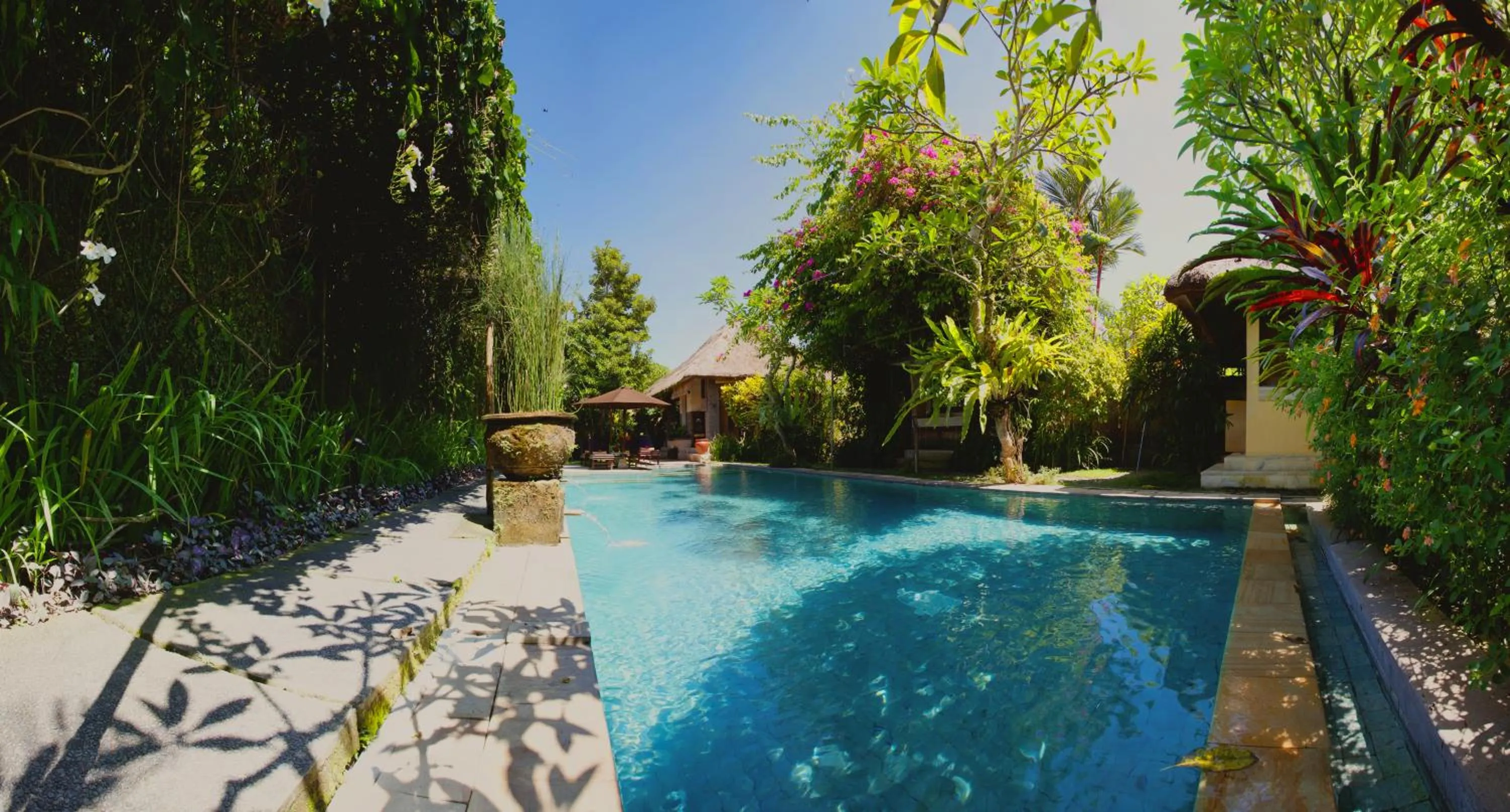 Spring in Barong Resort Ubud by Puri Signatures