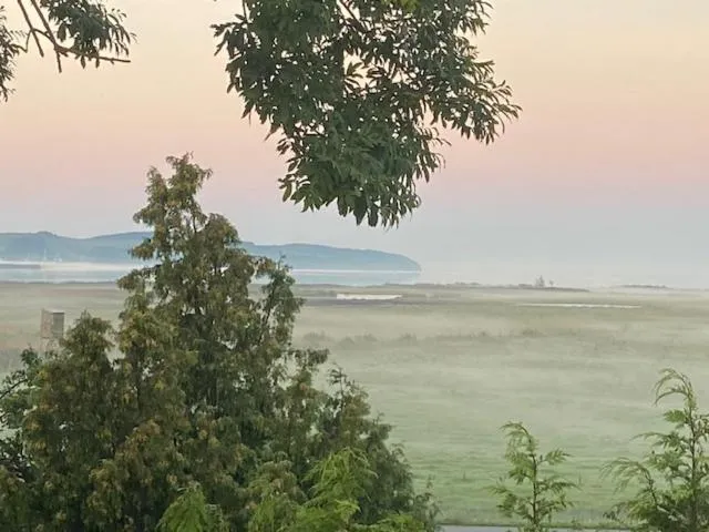 Lake view in Hotel & Gasthof Zur Linde