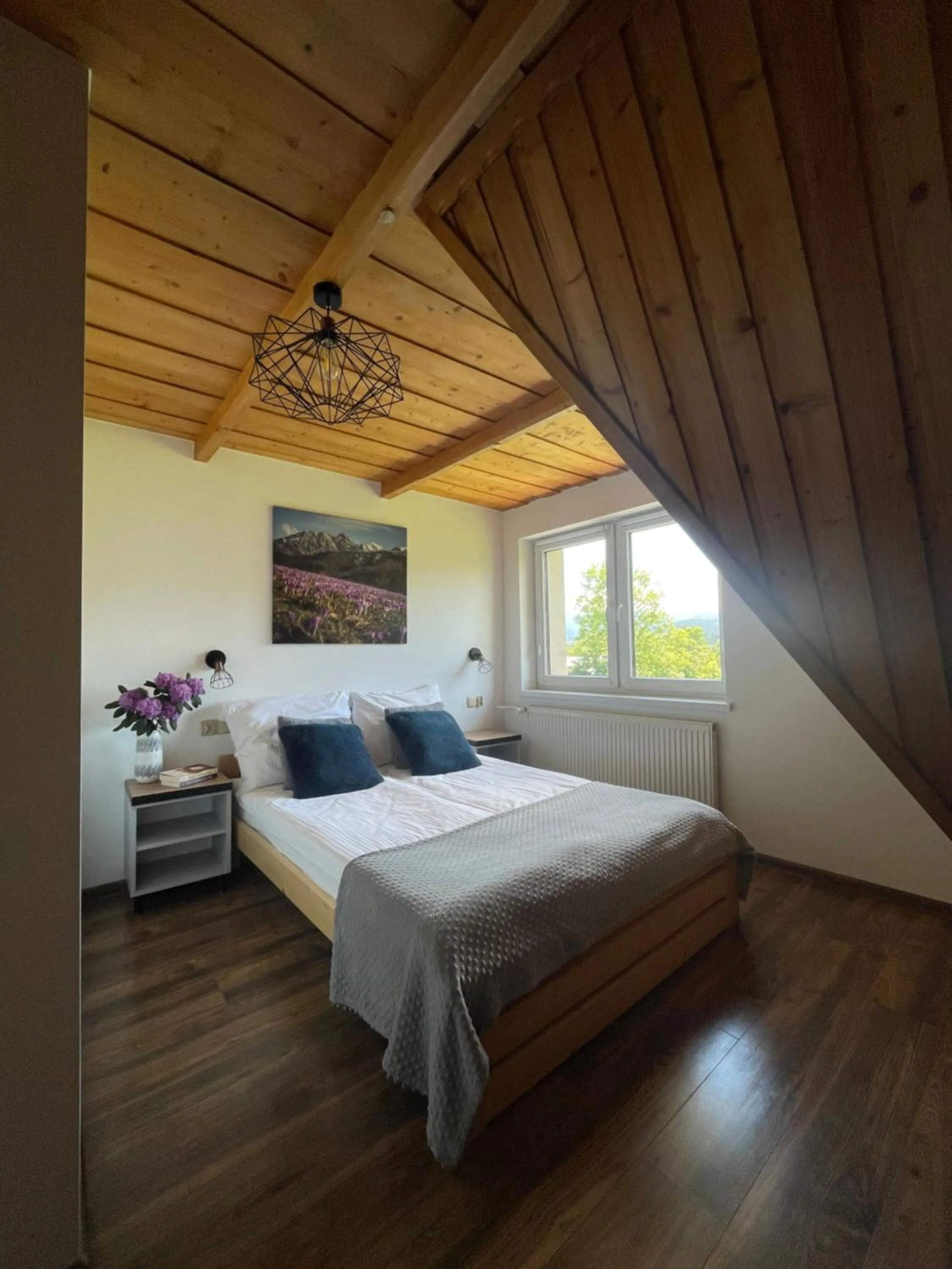 Bed in Pokoje Gościnne u Hanki