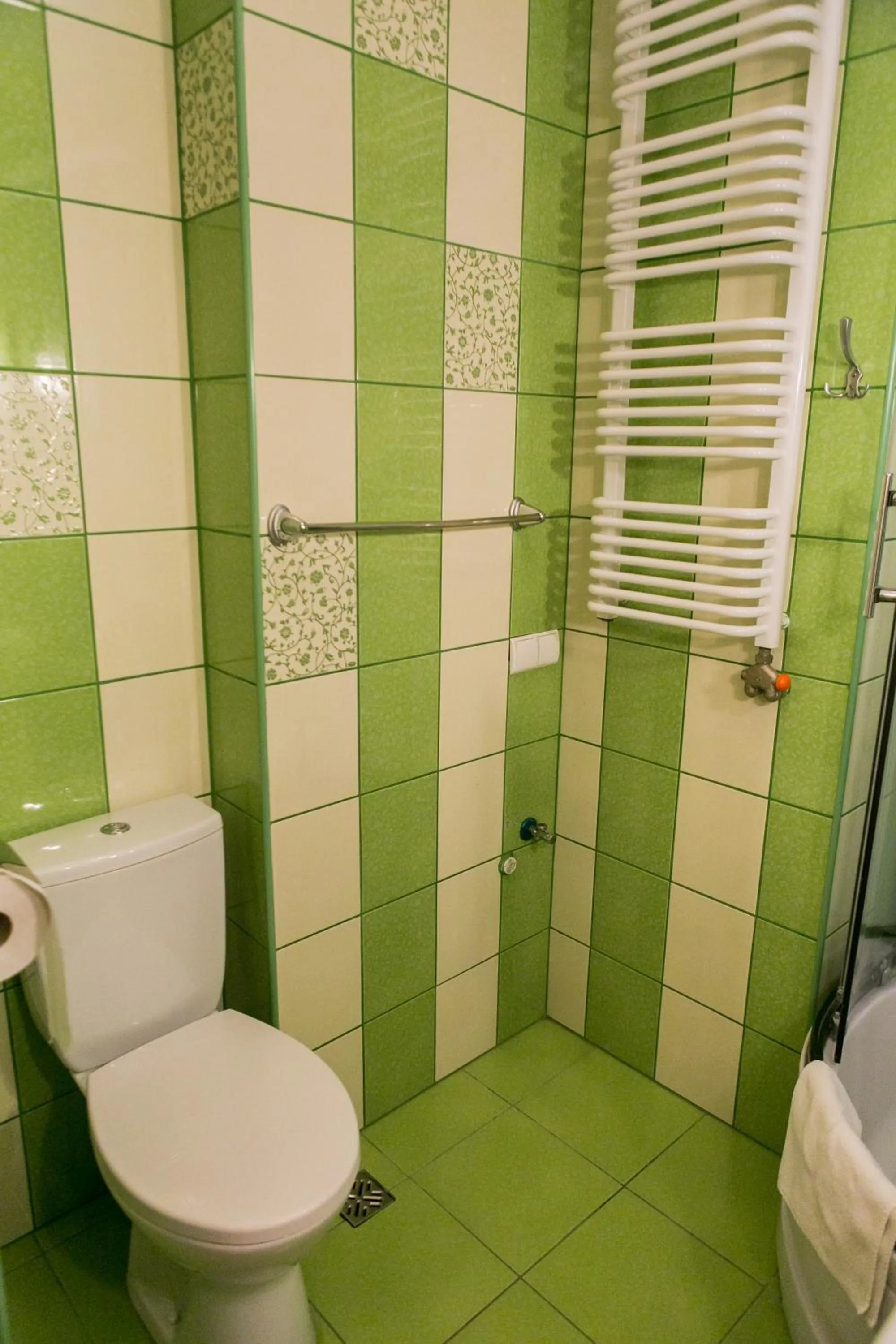 Toilet in Eko Hotel Na Wierzynka & Park Pinokia