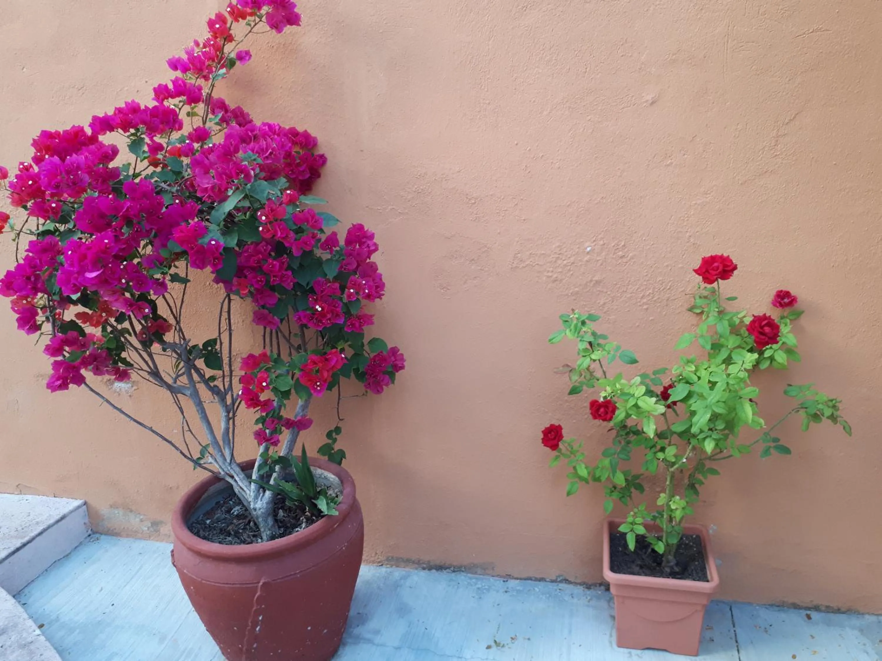 Natural landscape in La Vivienda Villa