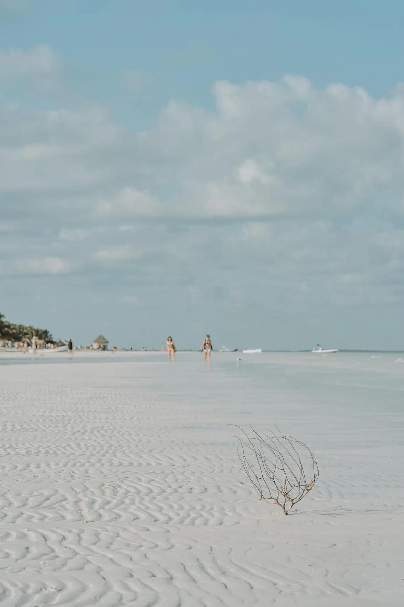 Beach in Hotel Encanto Holbox Beach Front