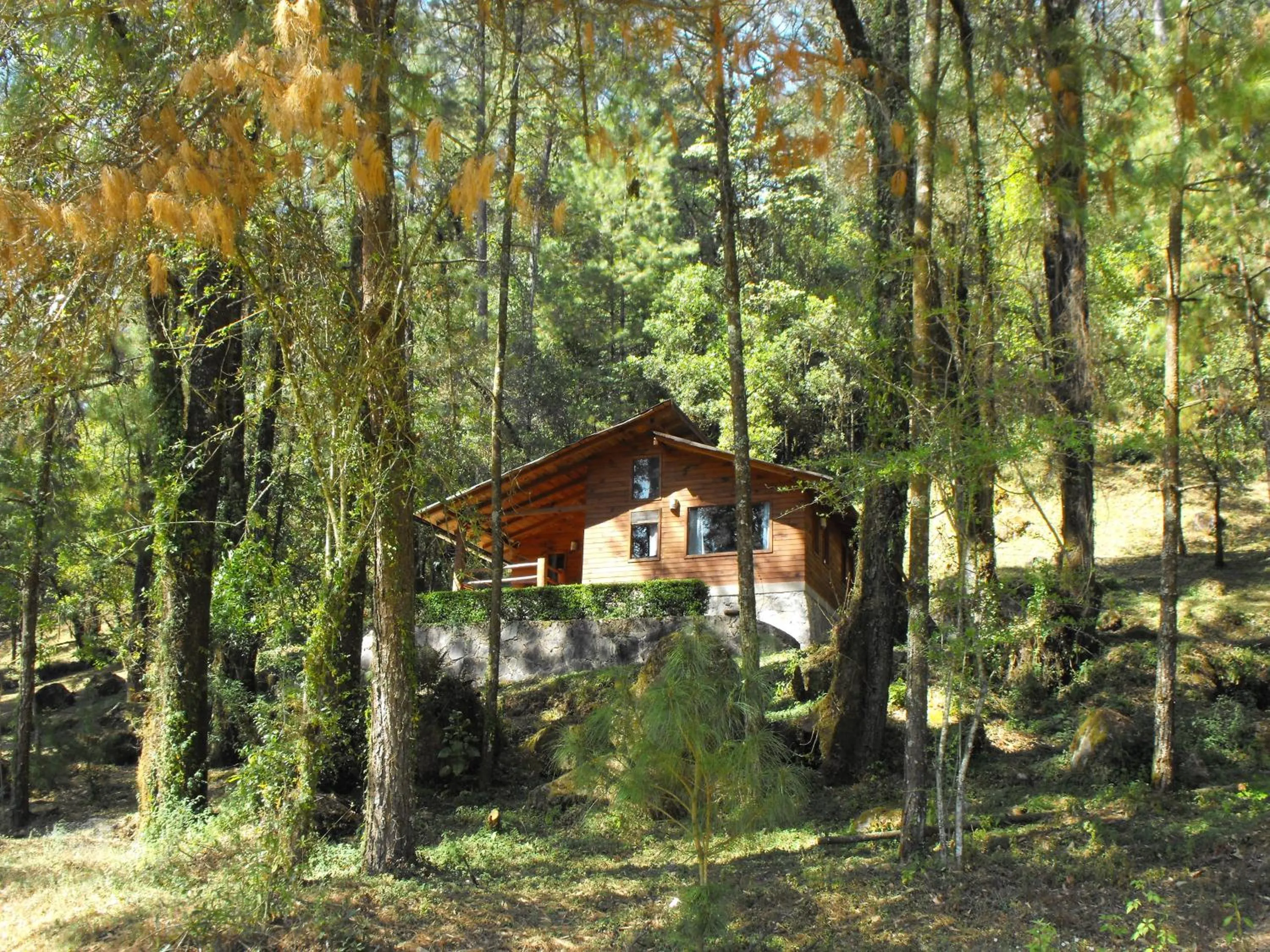 Two-Bedroom Chalet - single occupancy in Cabañas Alpinas López Fontes