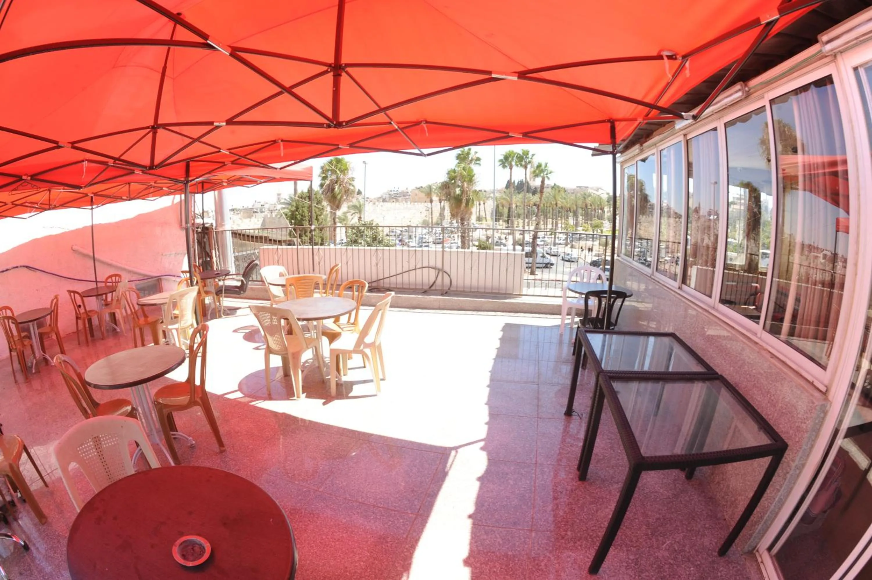 Balcony/Terrace in Palm Hostel