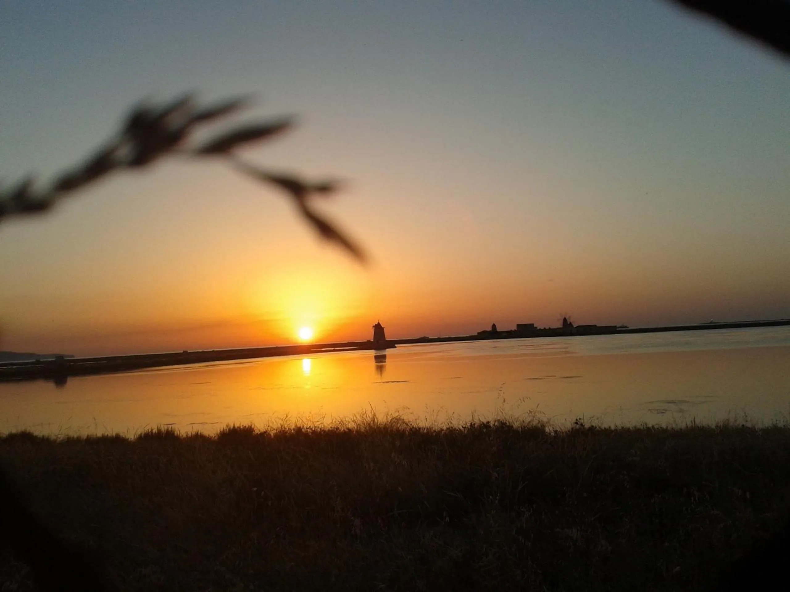 View (from property/room) in Casolare Nelle Saline