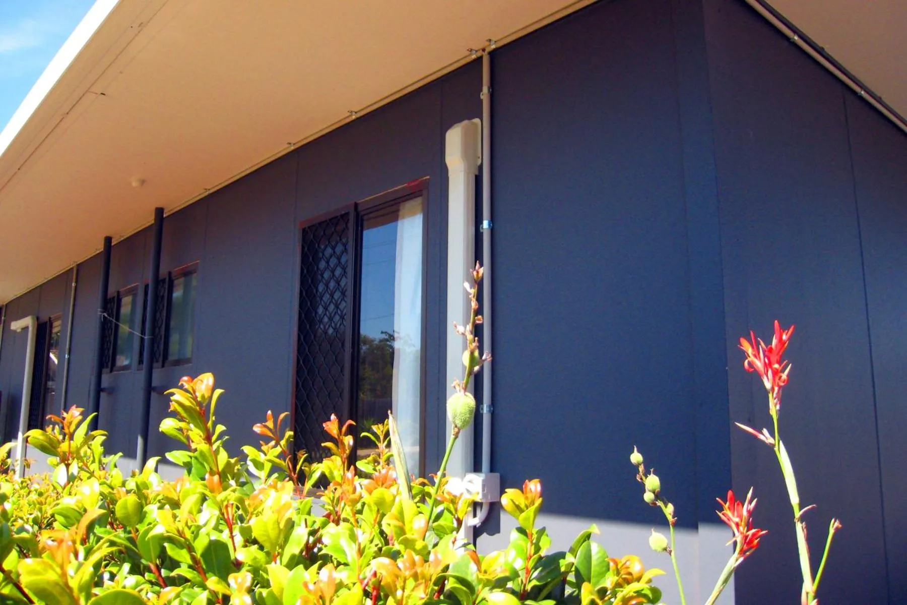 Property building in Childers Budget Accommodation