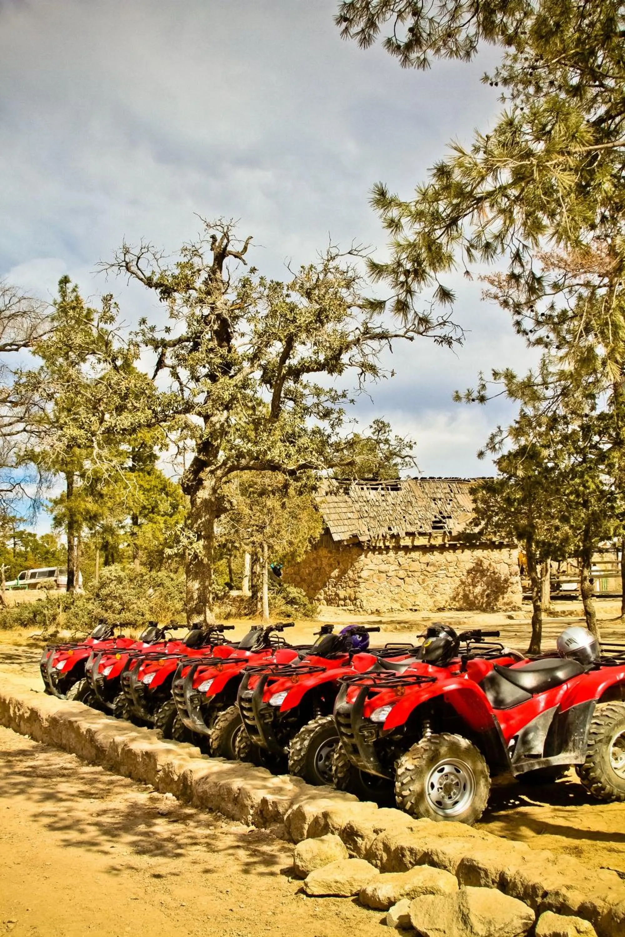 Day in Hotel El Mirador - Balderrama Hotel Collection