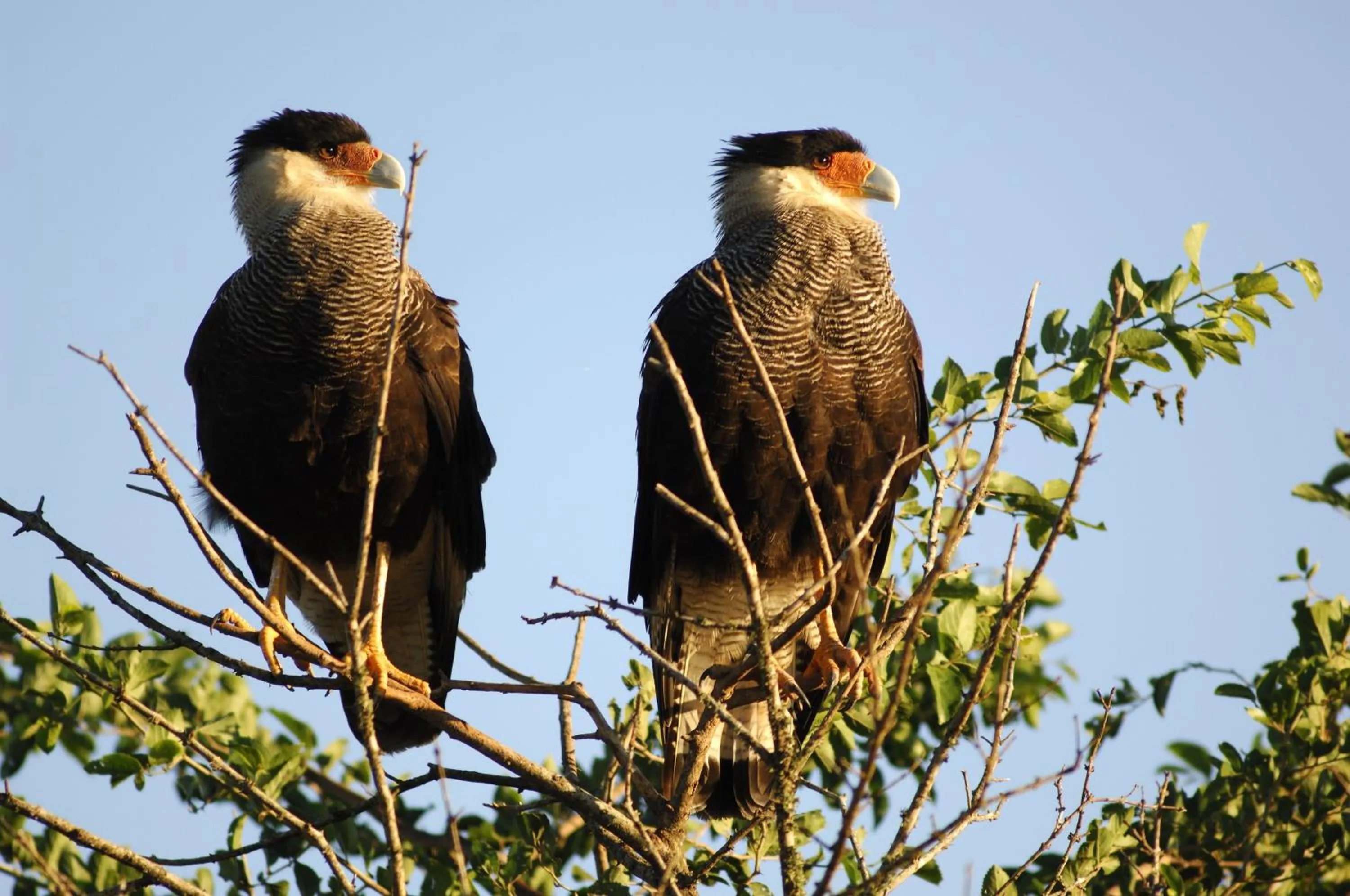 Day in Hotel El Mirador - Balderrama Hotel Collection