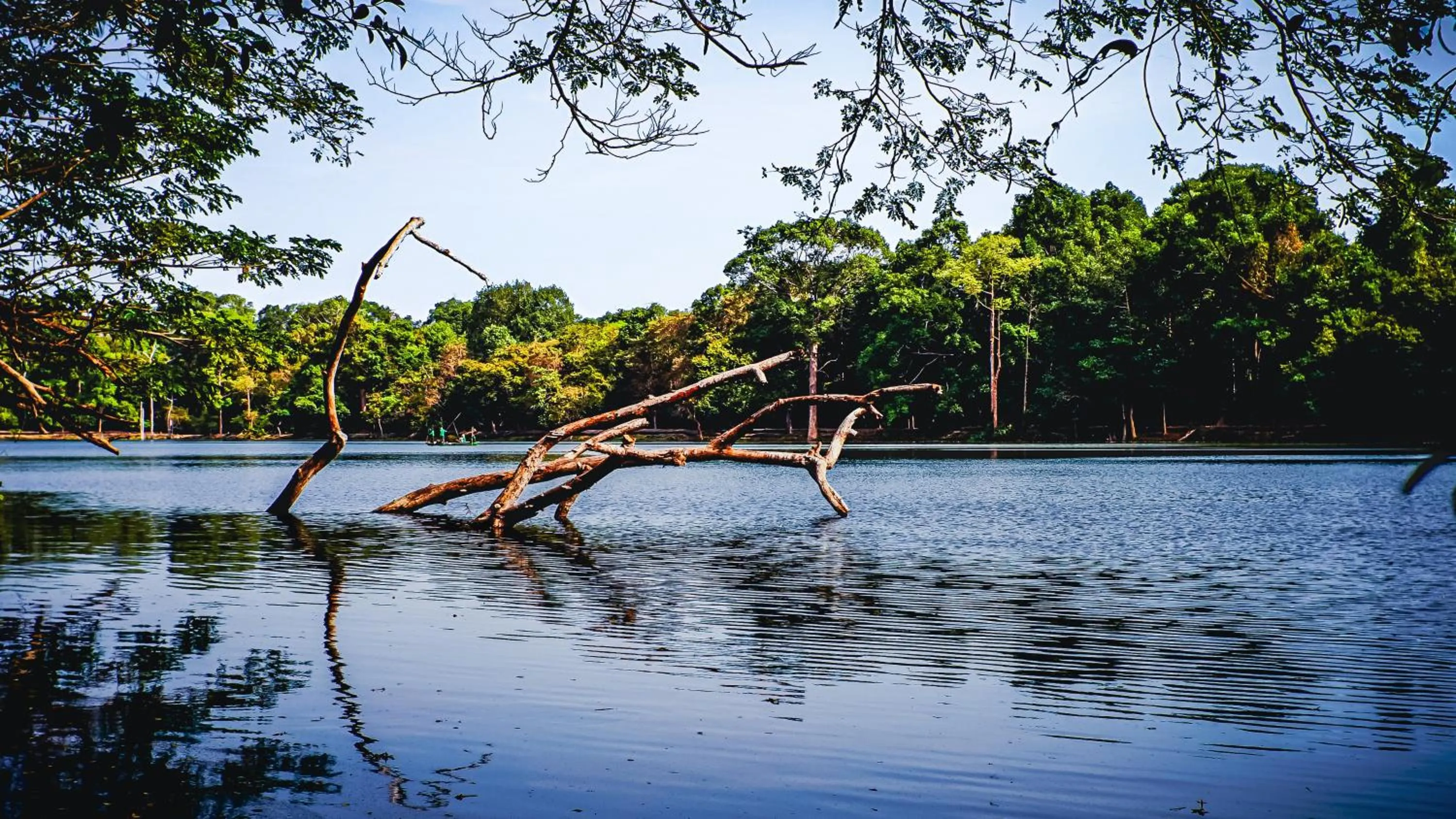 Natural landscape in Golden Temple Villa