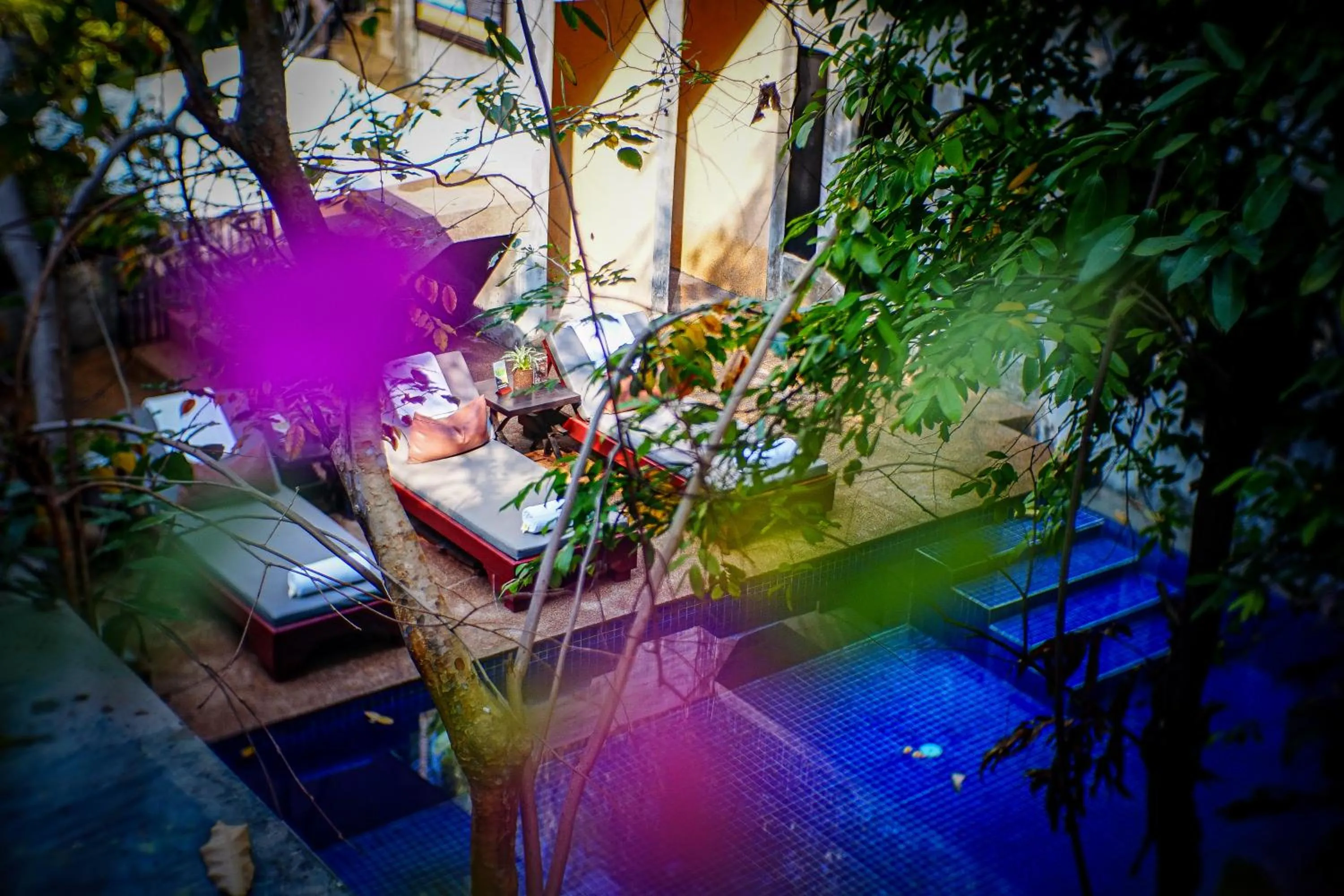 Swimming pool in Golden Temple Villa