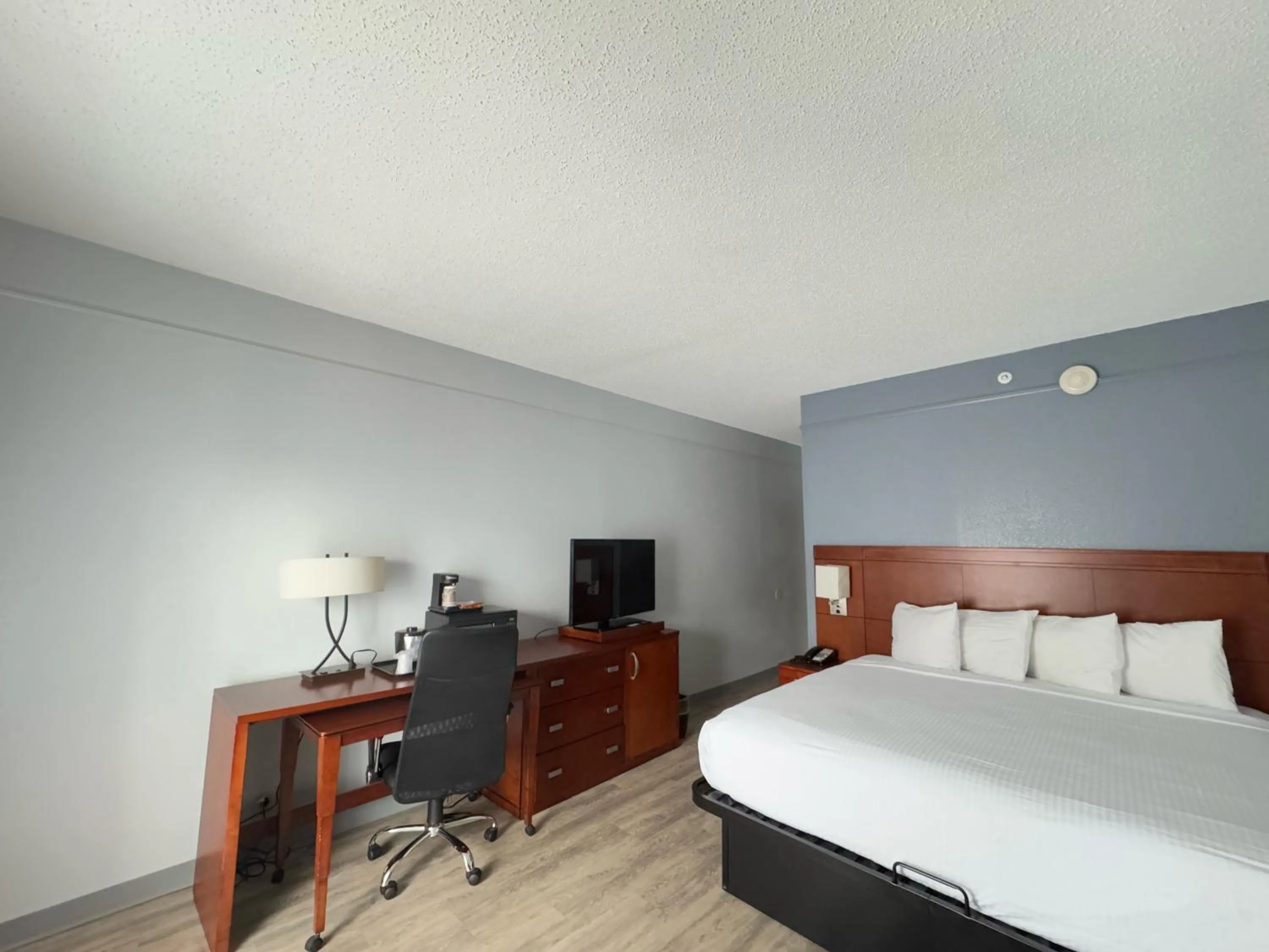 Bed in Super 8 by Wyndham Dallas Love Field Airport