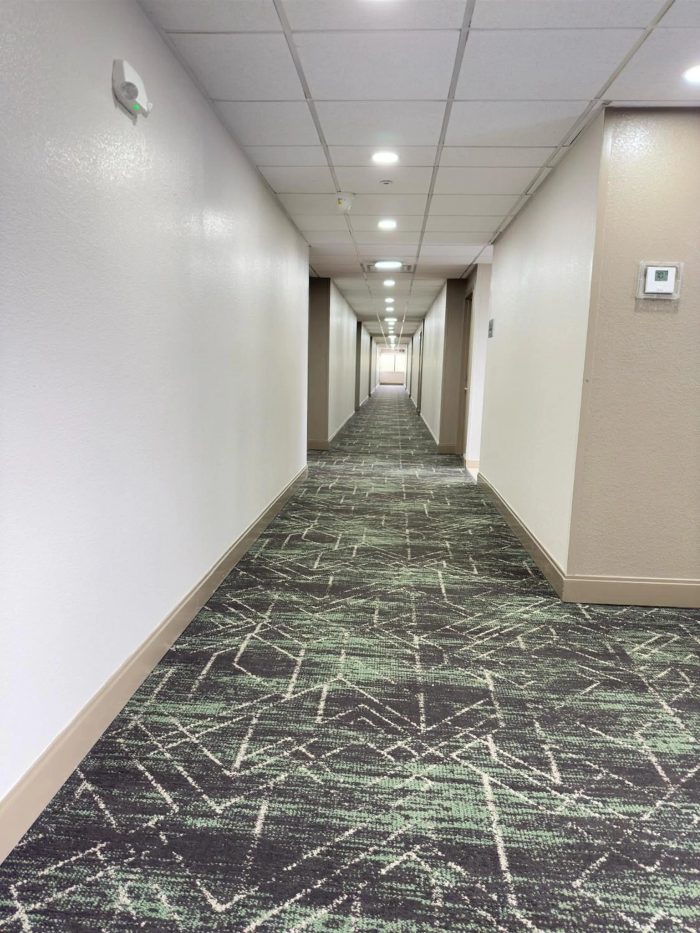 Property building in Super 8 by Wyndham Dallas Love Field Airport