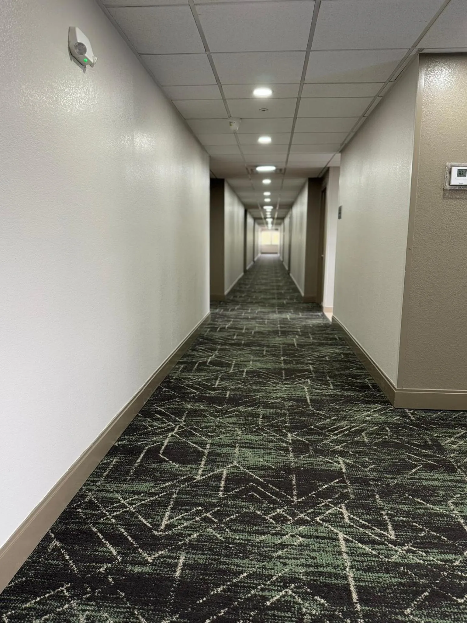 Property building in Super 8 by Wyndham Dallas Love Field Airport