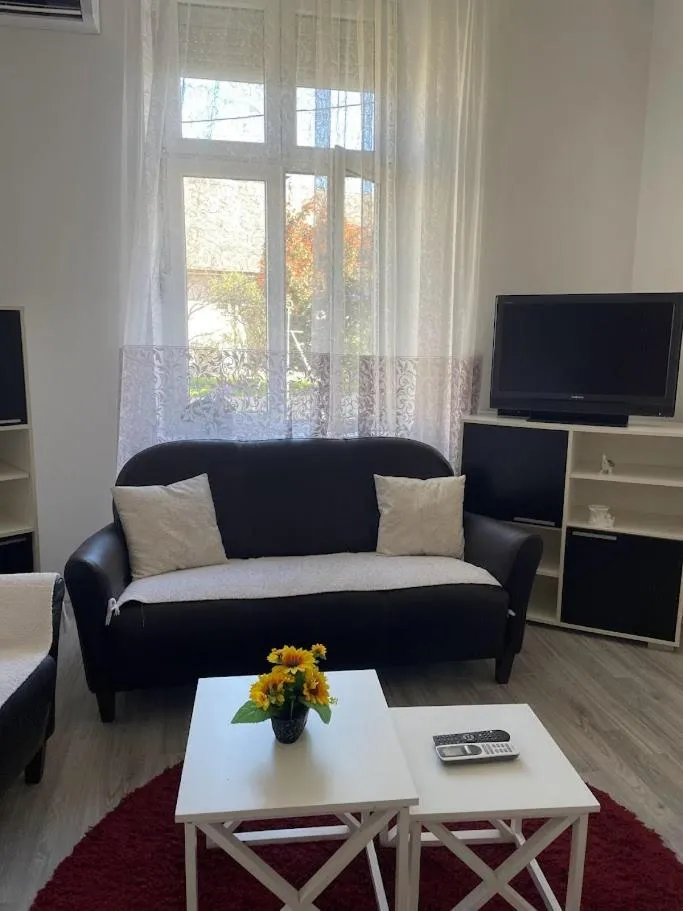 TV and multimedia in Apartment Milijana