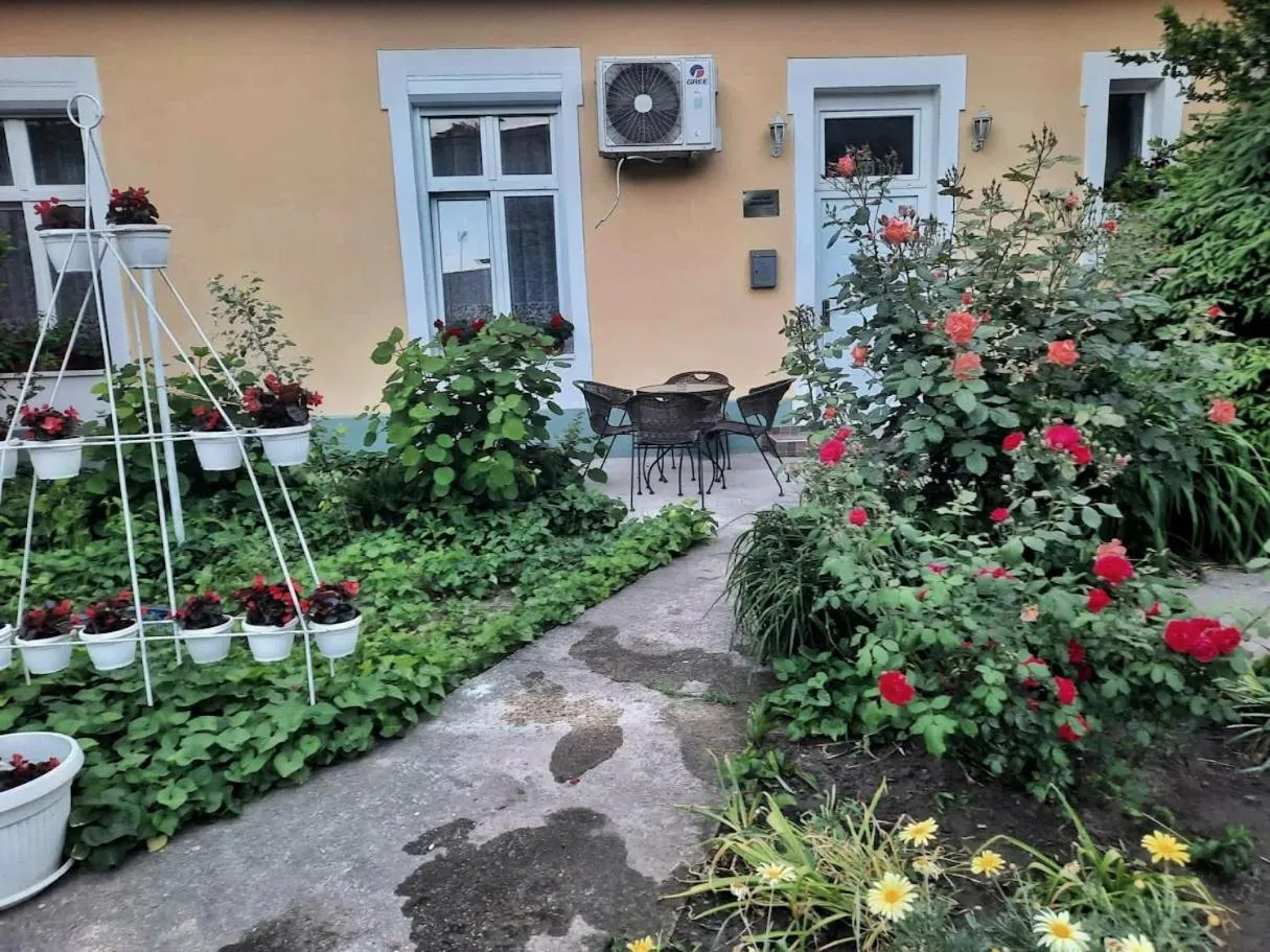 Property building in Apartment Milijana