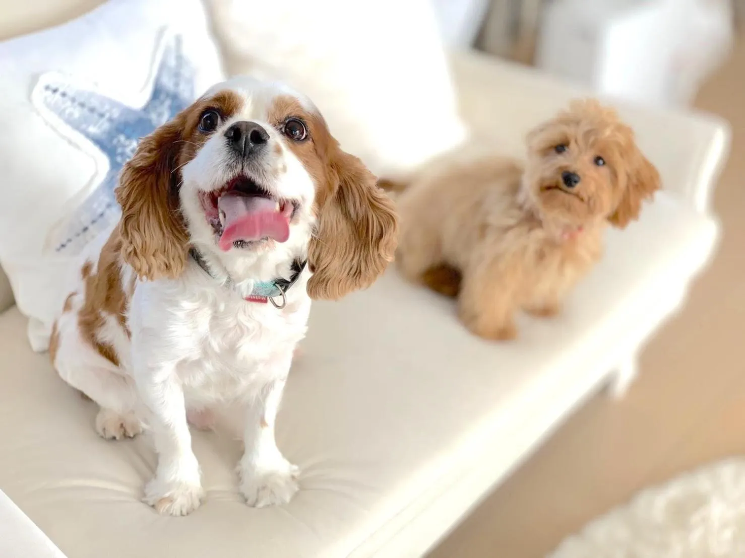 Marine House KAKISAKI