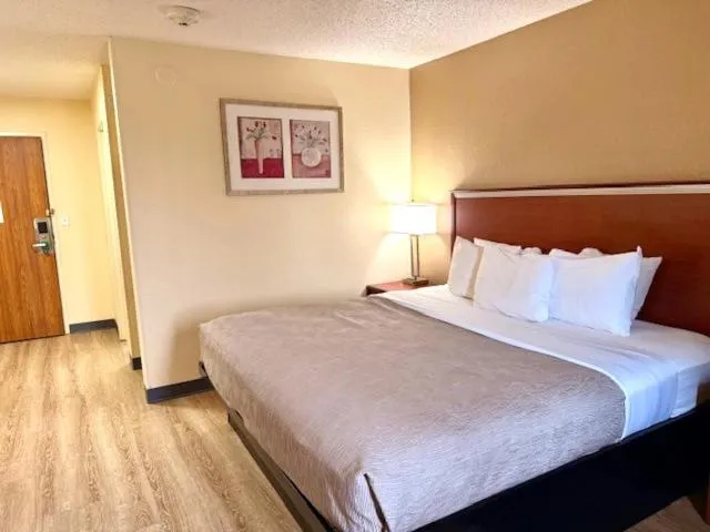 Bed in Quality Inn & Suites Golden - Denver West