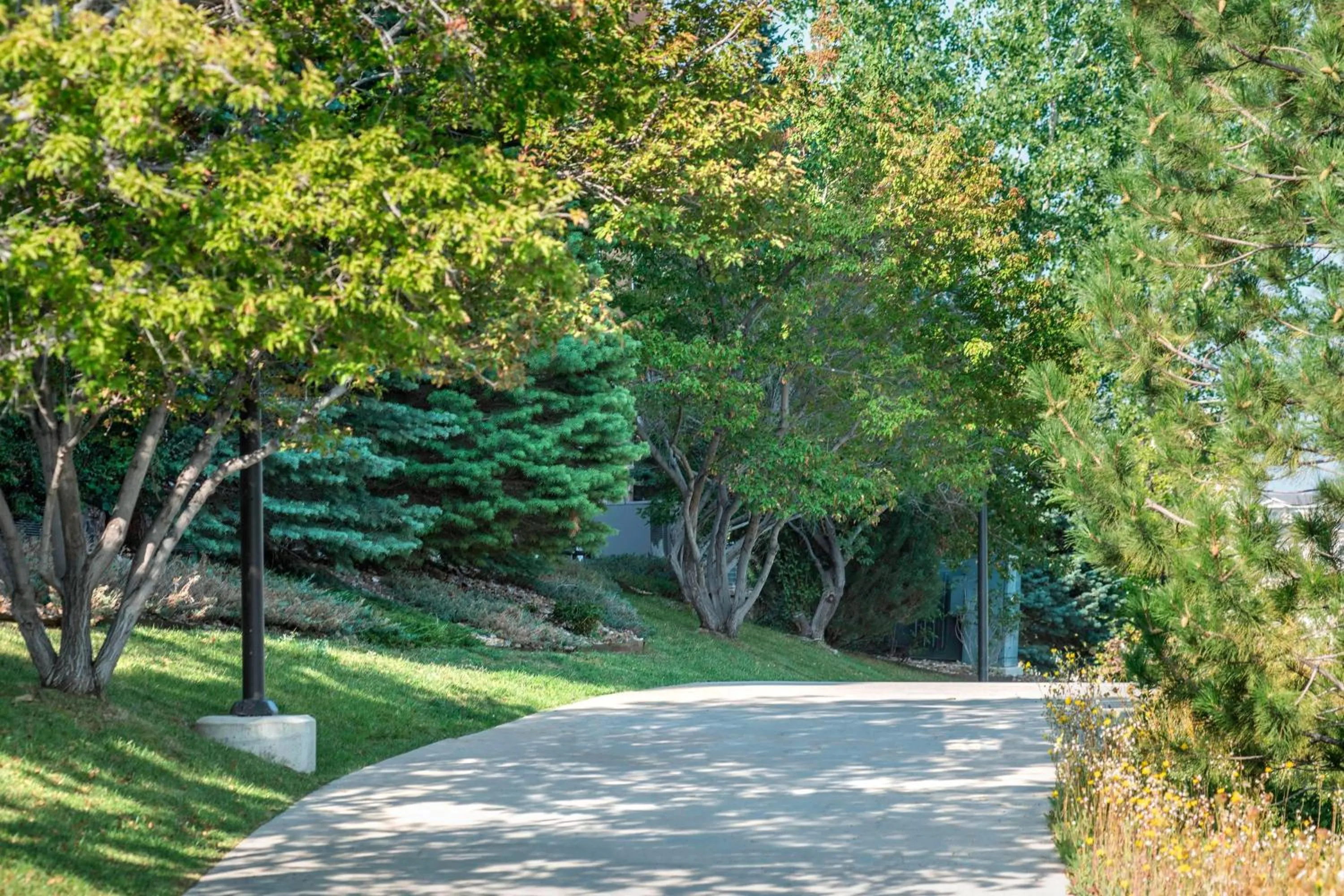 Other in TownePlace Suites by Marriott Boulder Broomfield/Interlocken