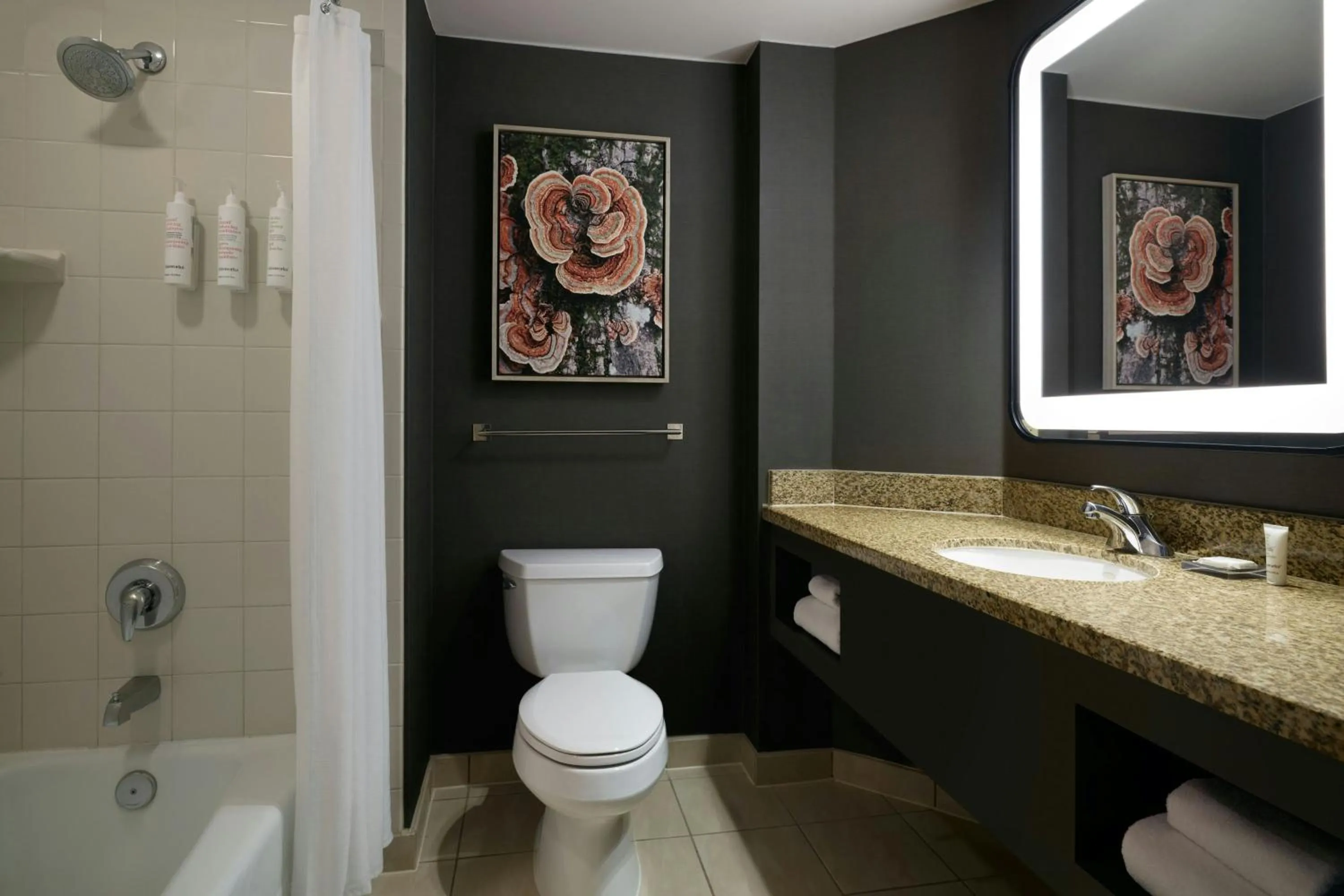 Bathroom in Denver Marriott South at Park Meadows