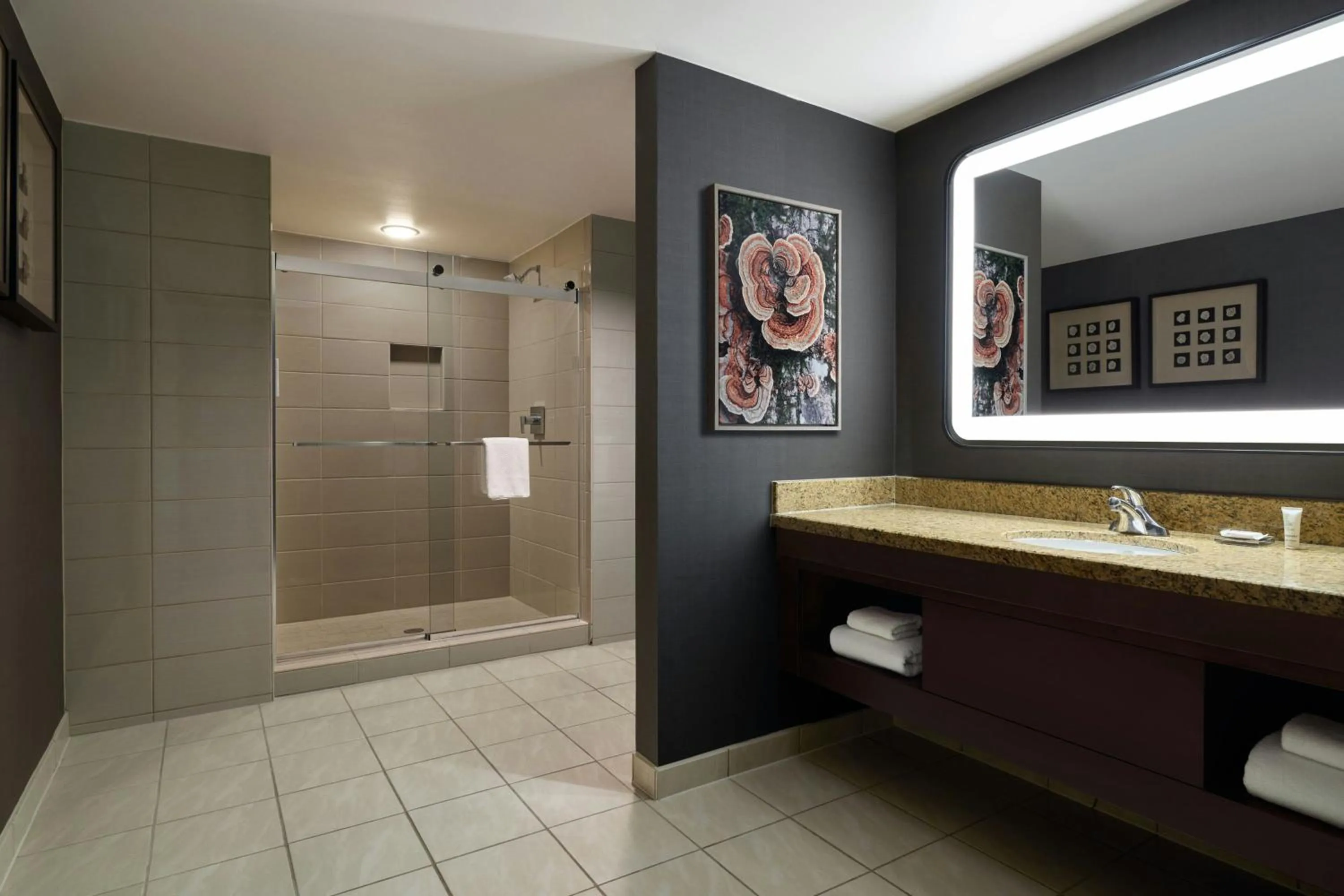 Bathroom in Denver Marriott South at Park Meadows