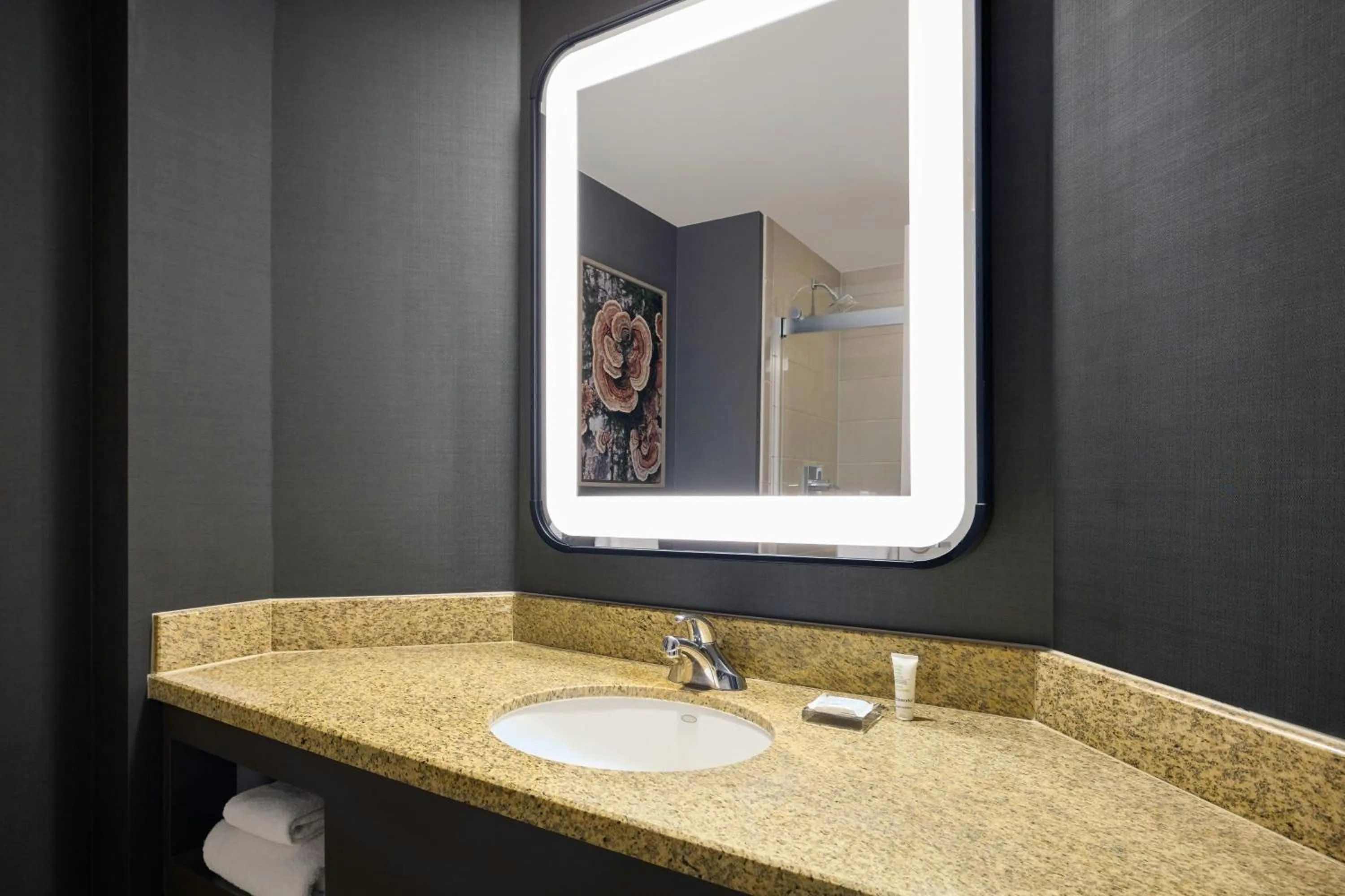 Bathroom in Denver Marriott South at Park Meadows