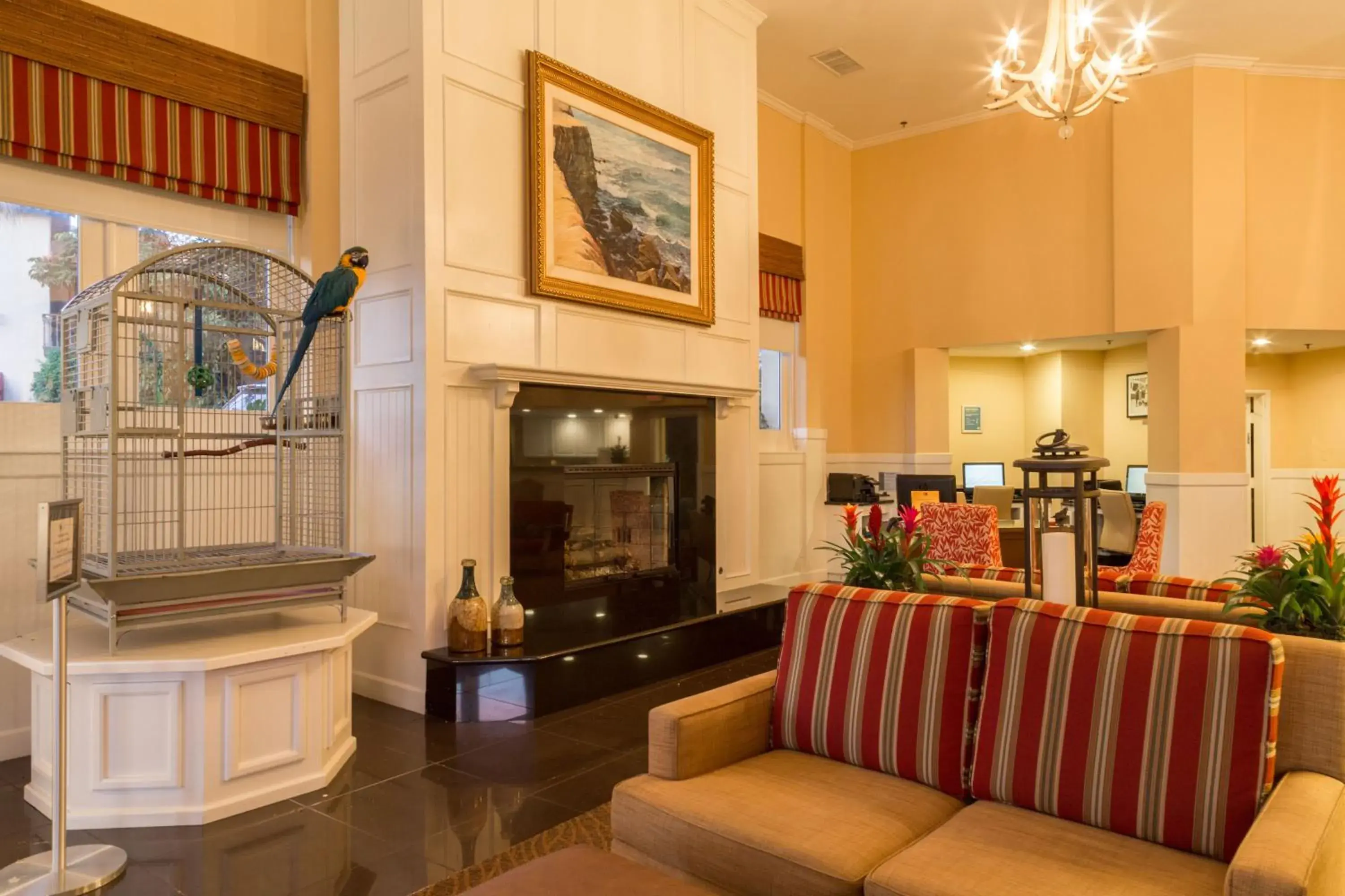 Lounge or bar in Coronado Beach Resort Lounge or bar in Coronado Beach Resort