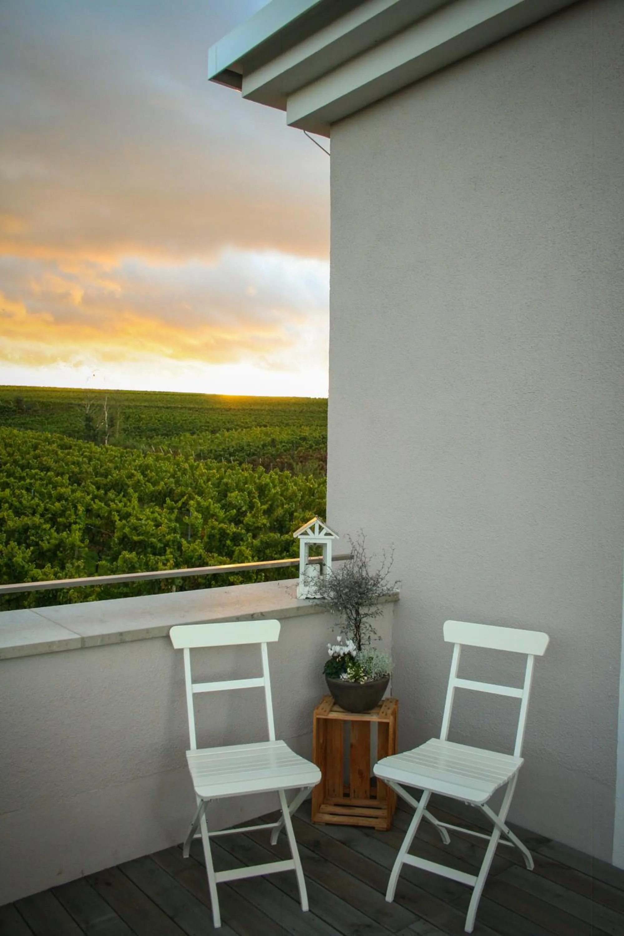 Natural landscape in Winzerhotel Trautwein