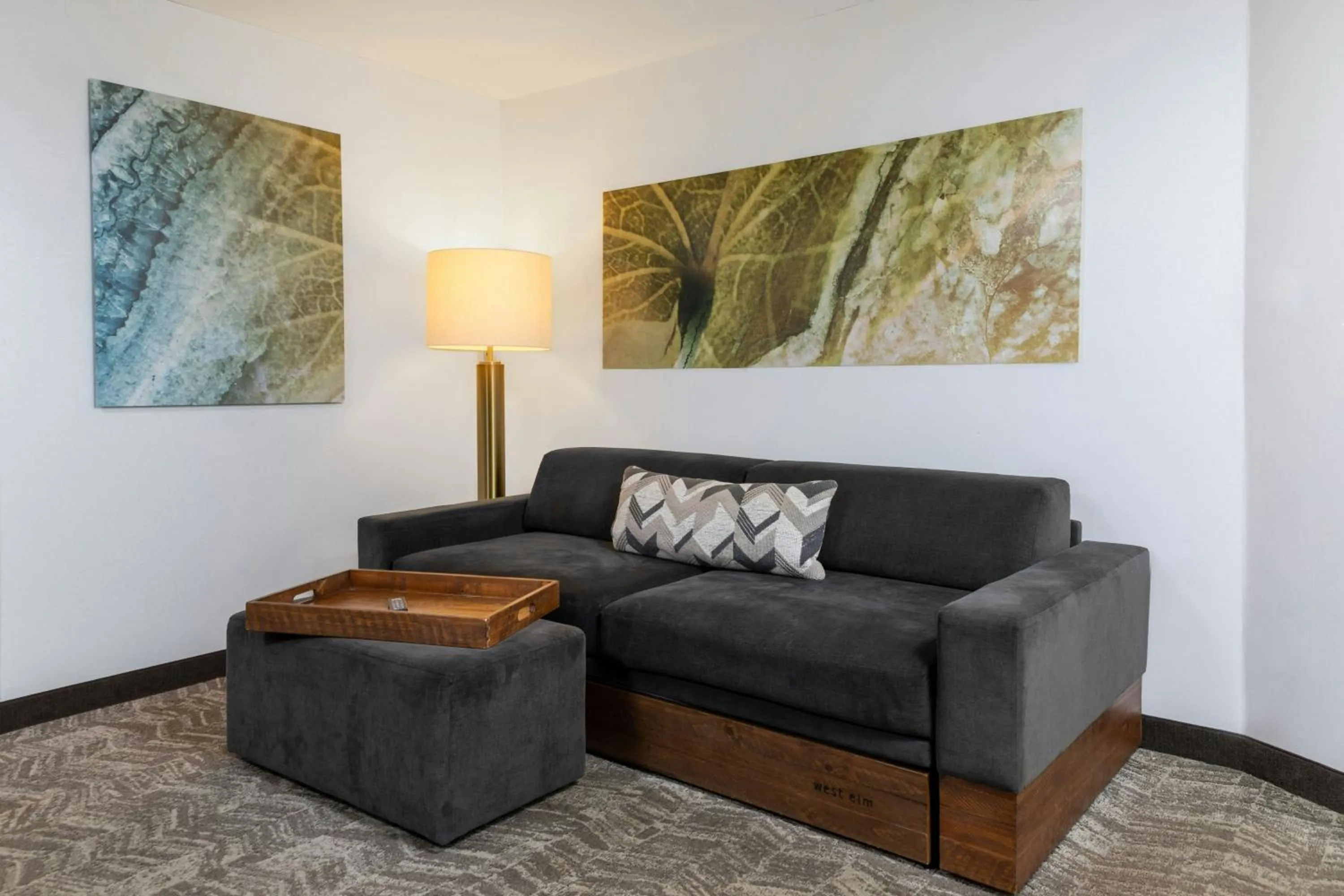 Photo of the whole room in SpringHill Suites by Marriott Sioux Falls