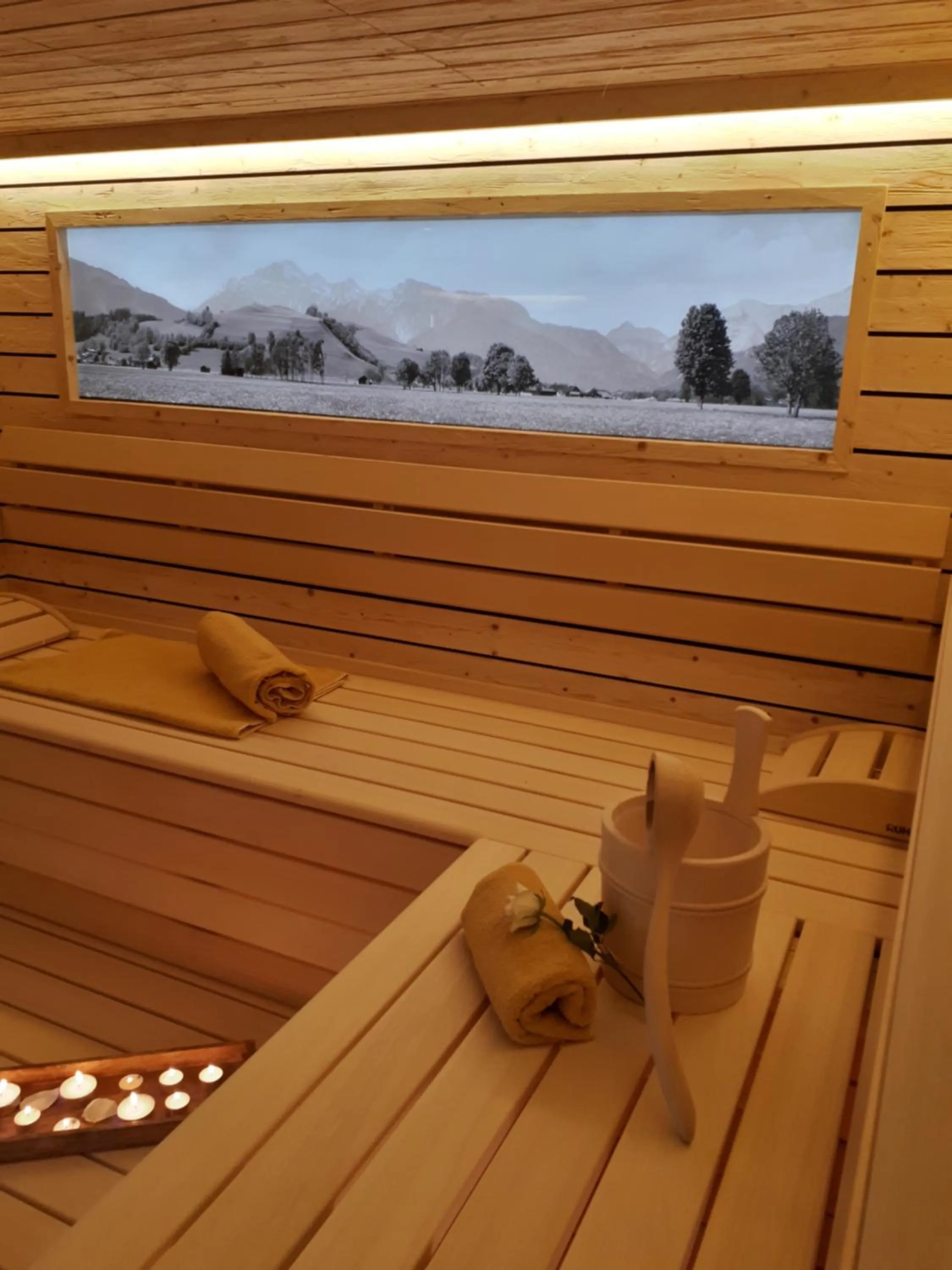 Sauna in Apartment Sonnwend