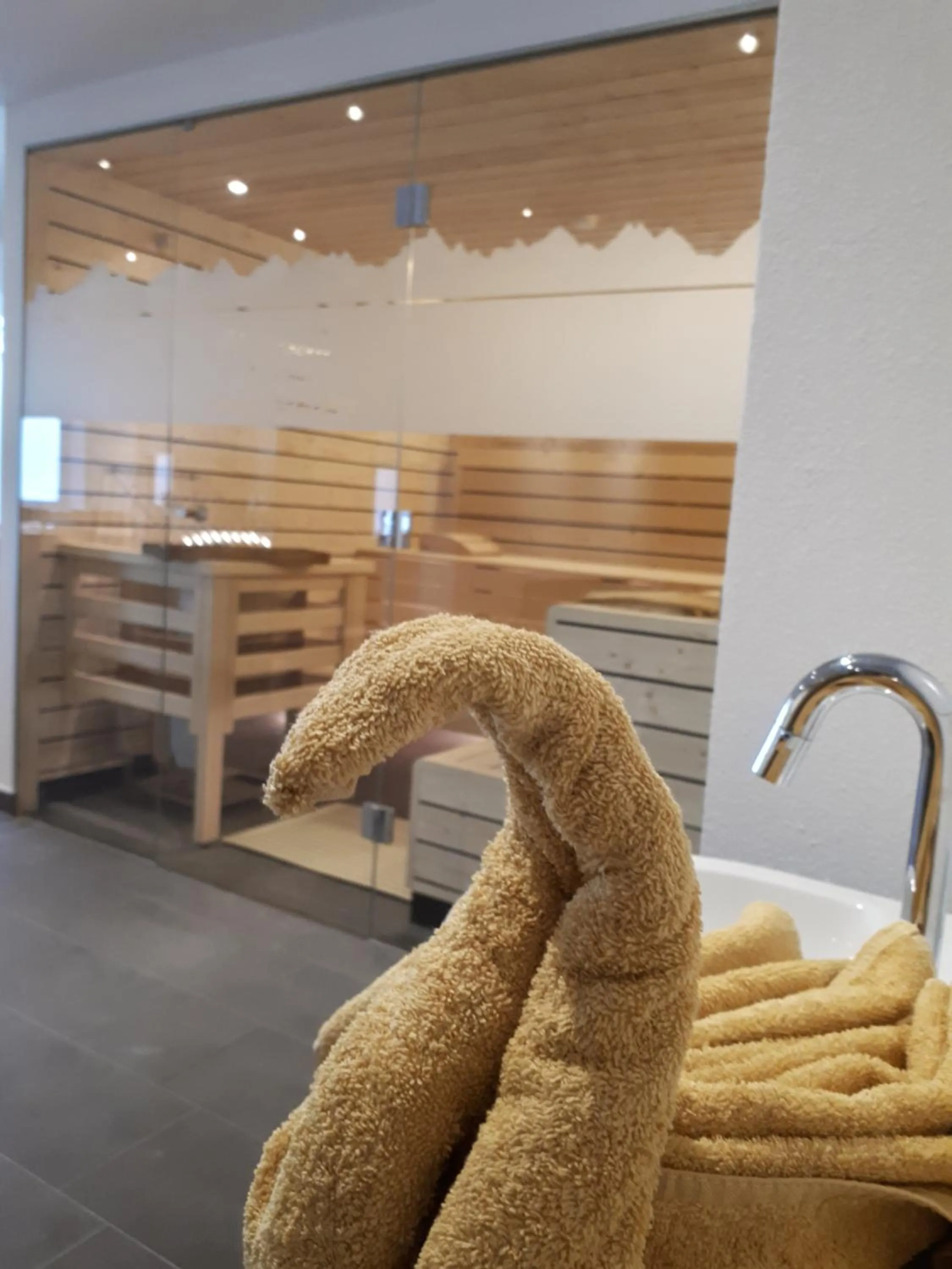 Spa and wellness centre/facilities in Apartment Sonnwend