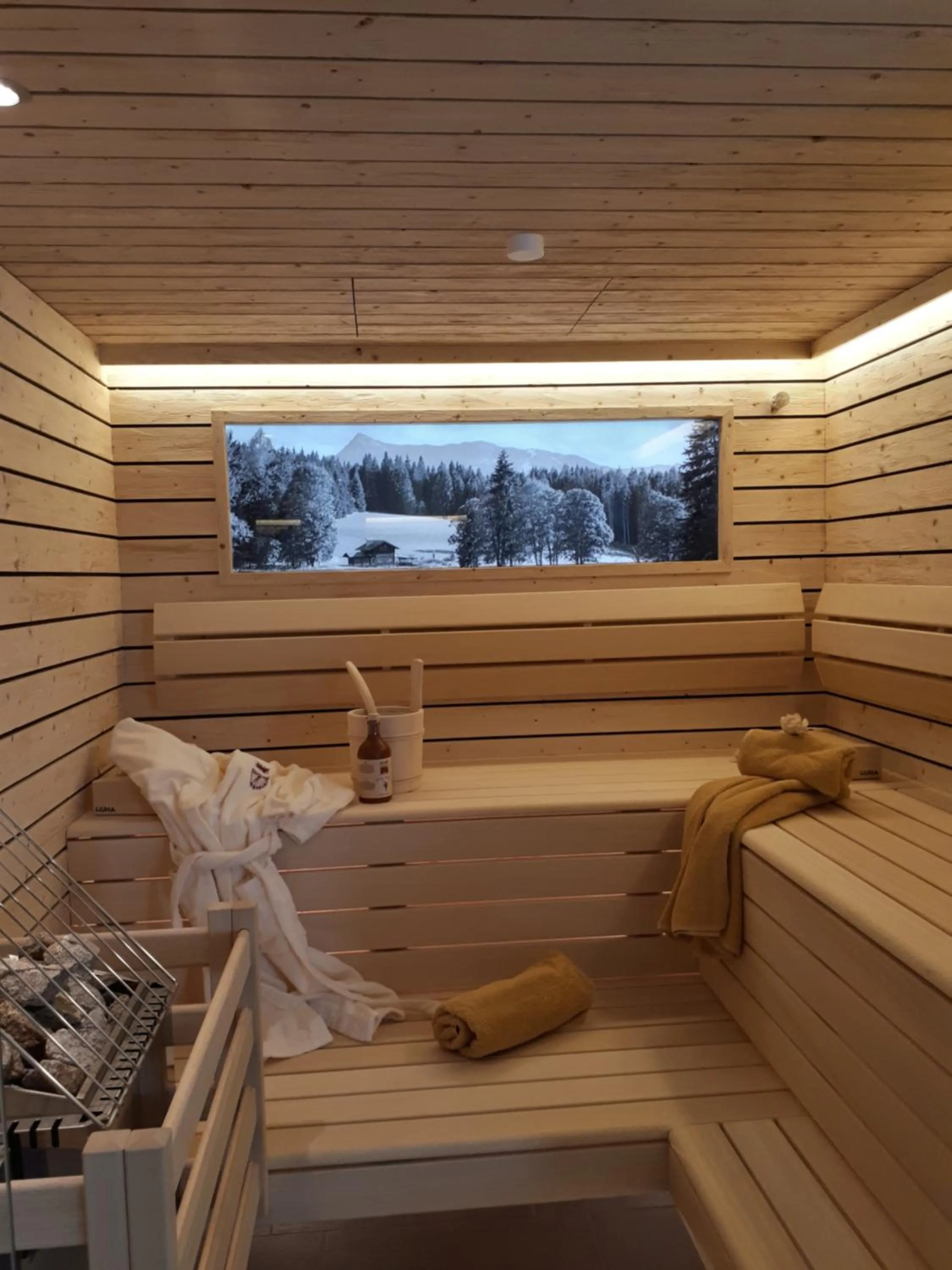 Sauna in Apartment Sonnwend