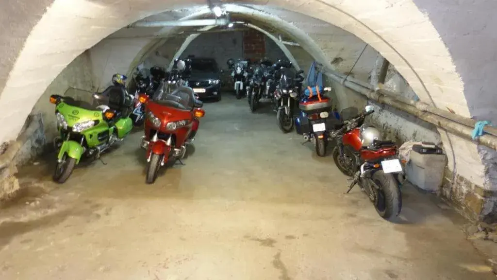 Double Room in Hotel des Alpes Double Room in Hotel des Alpes