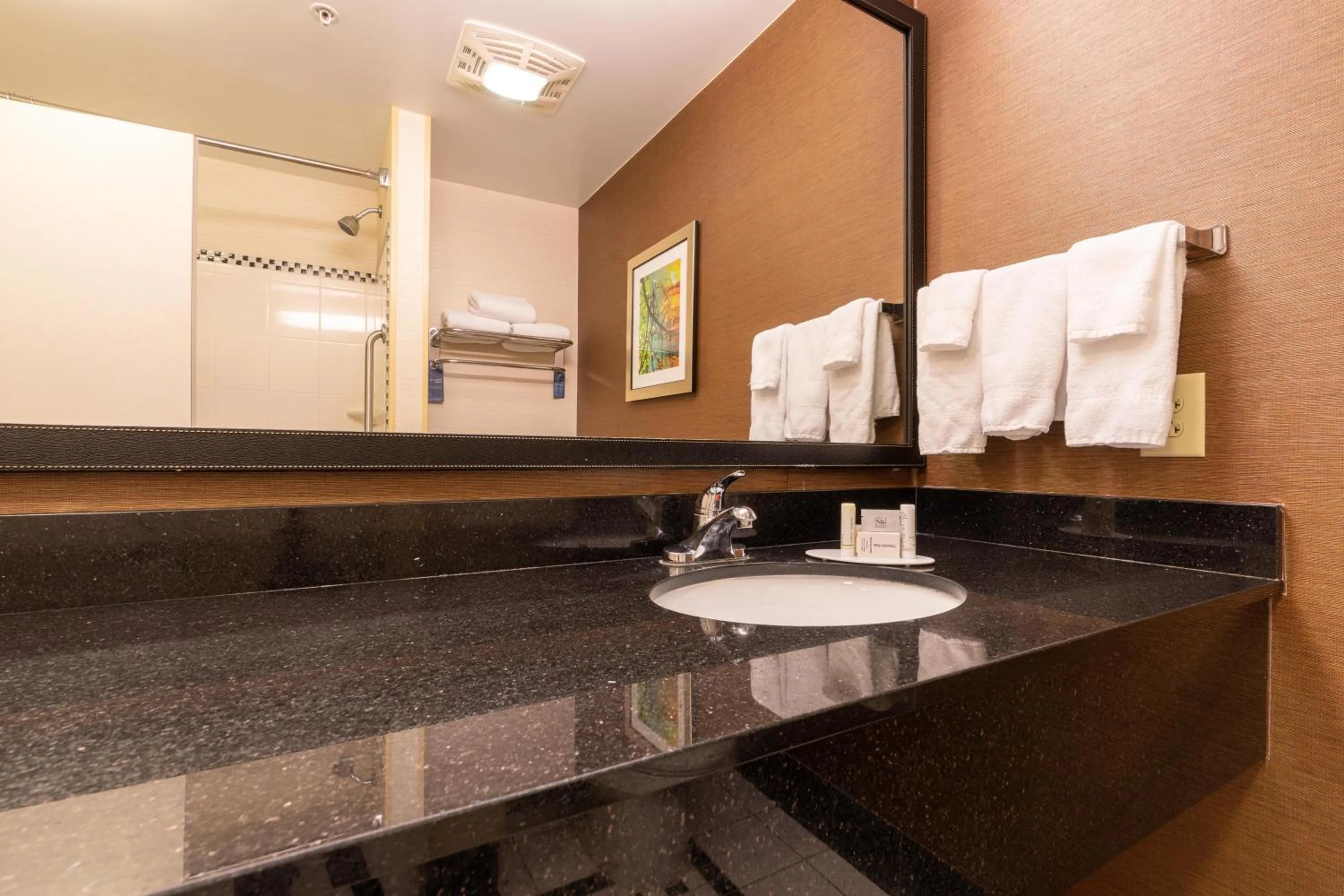 Bathroom in Fairfield Inn & Suites by Marriott Carlisle
