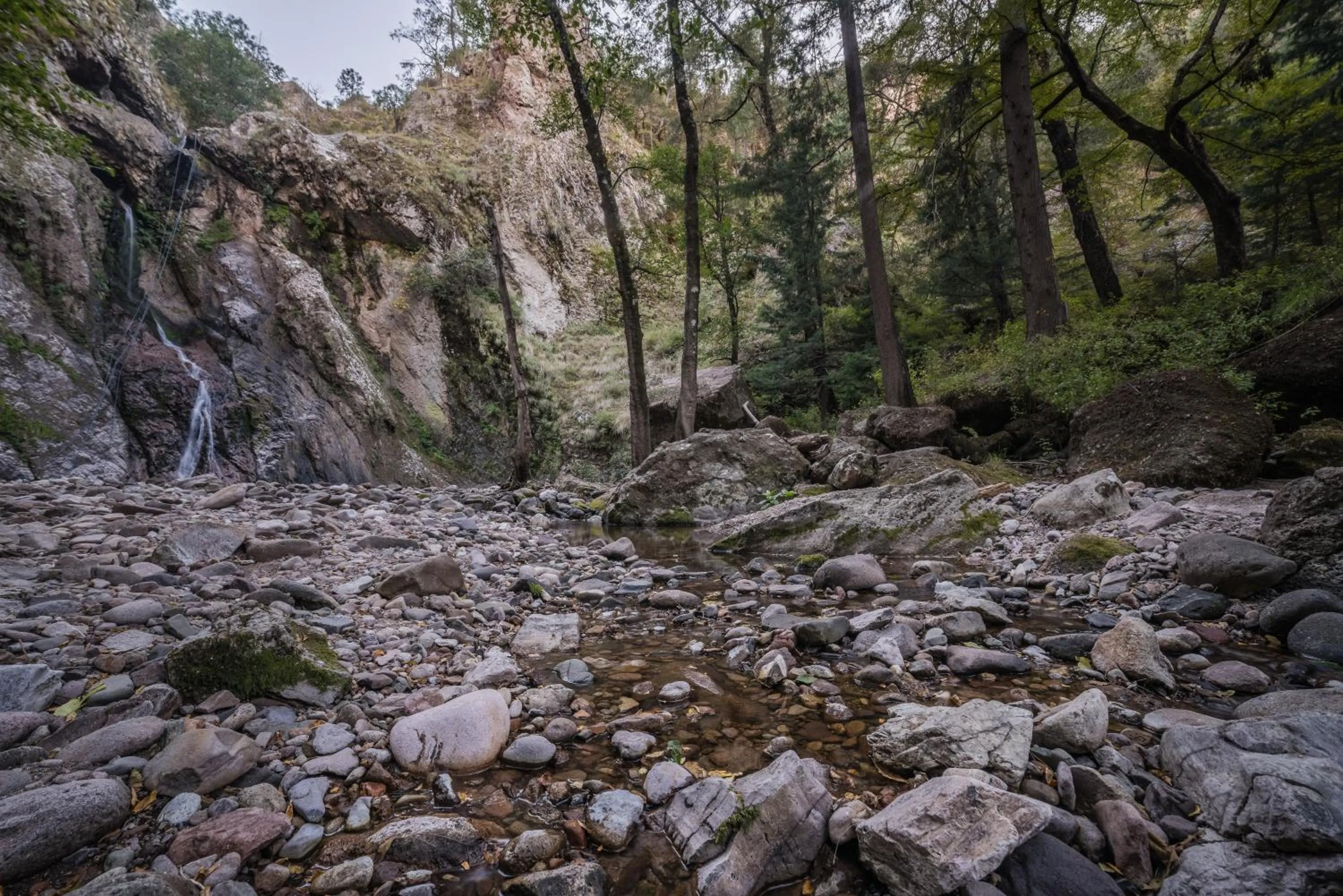 Hotel Misión Cerocahui a Balderrama Hotel Collection