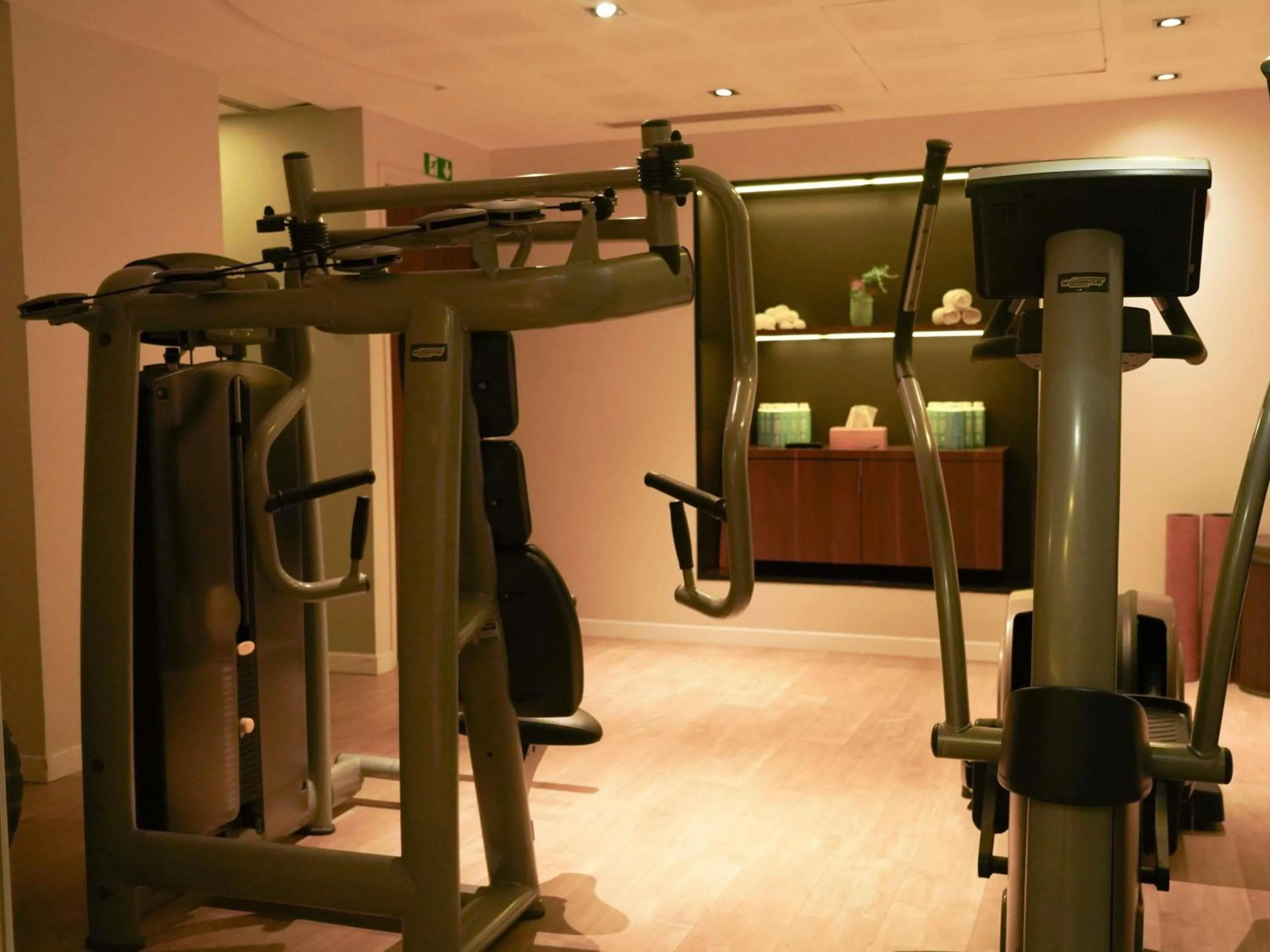 Fitness centre/facilities in Pullman Paris Tour Eiffel