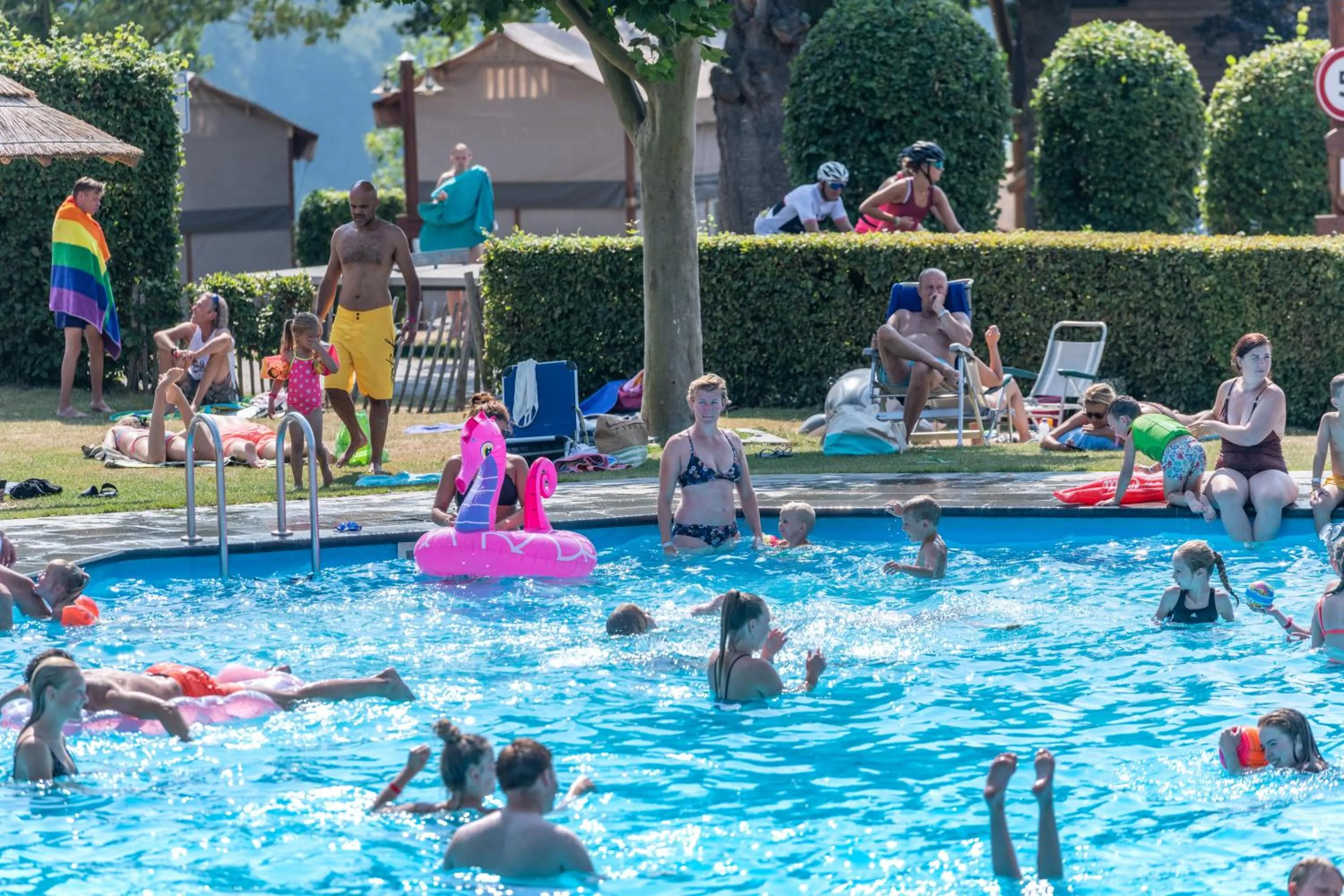 Swimming pool in EuroParcs Gulperberg