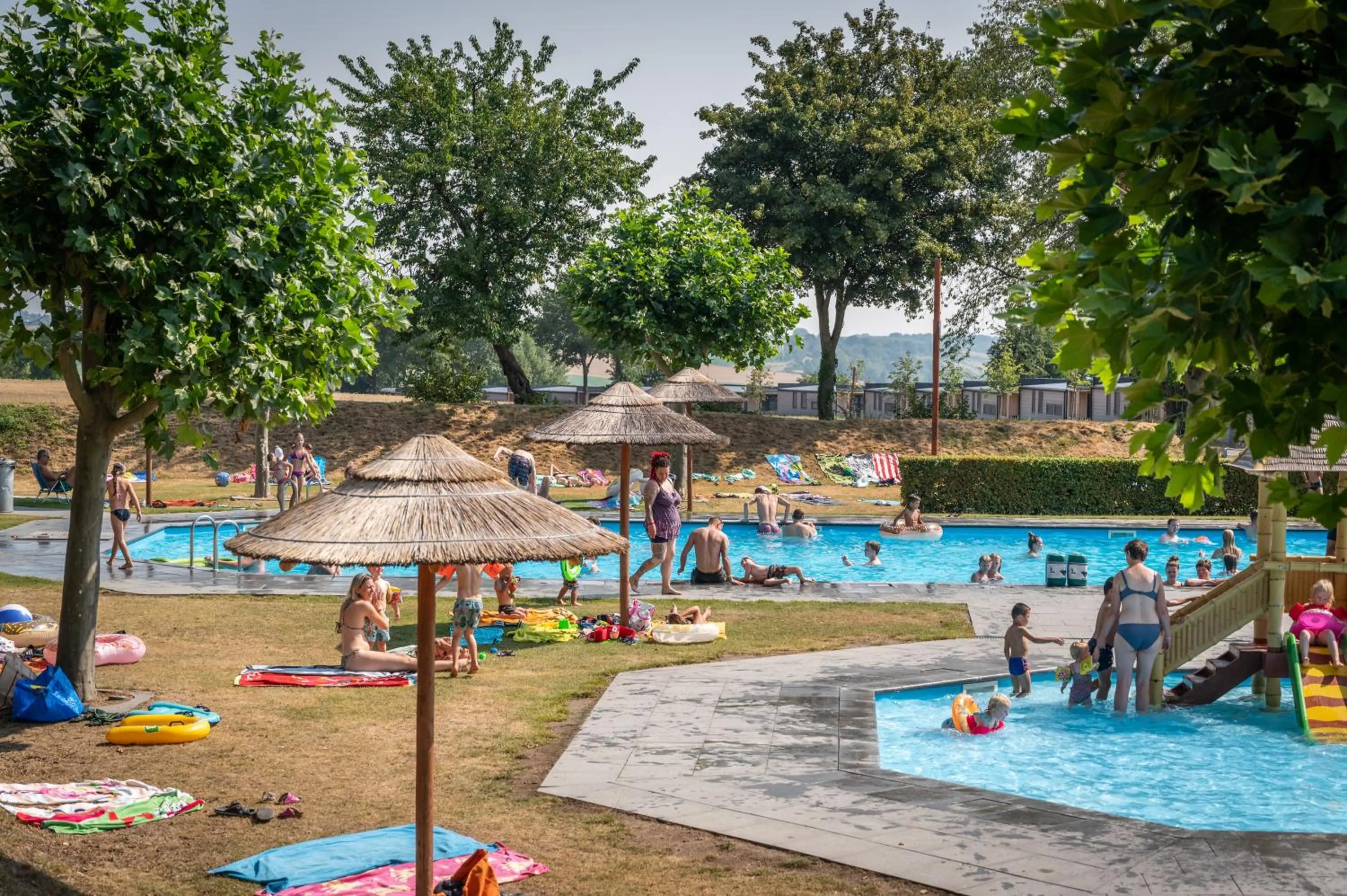 Swimming pool in EuroParcs Gulperberg
