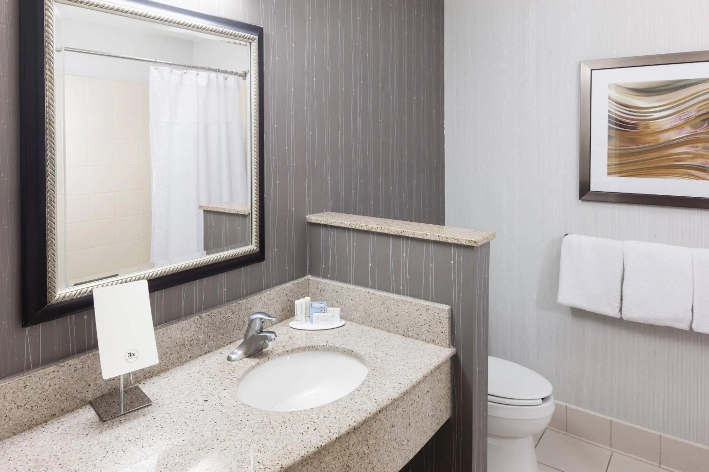Bathroom in Courtyard by Marriott Hattiesburg