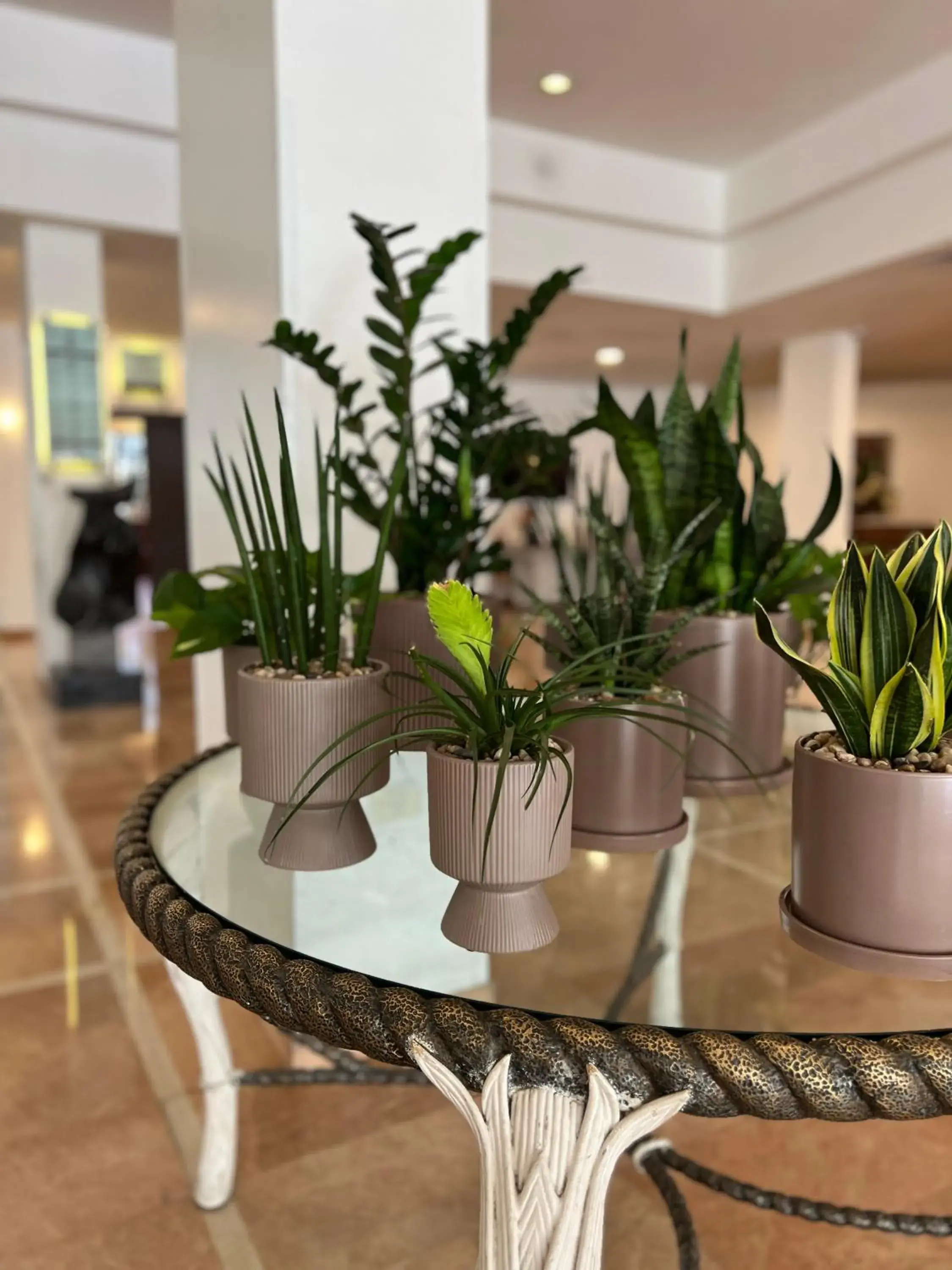 Lobby or reception in Caesar Premier Eilat Hotel Lobby or reception in Caesar Premier Eilat Hotel