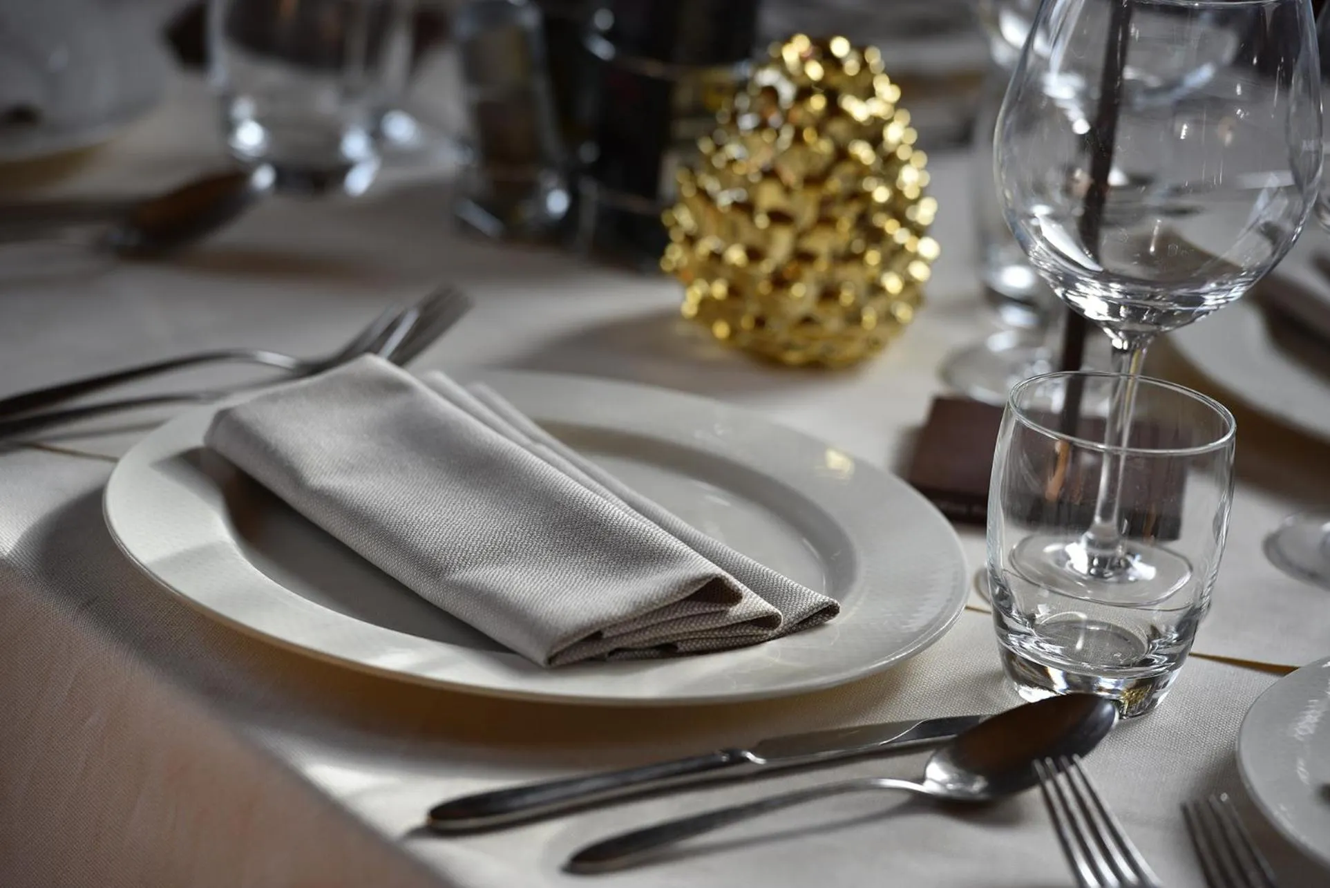 Dinner in Hotel Primula