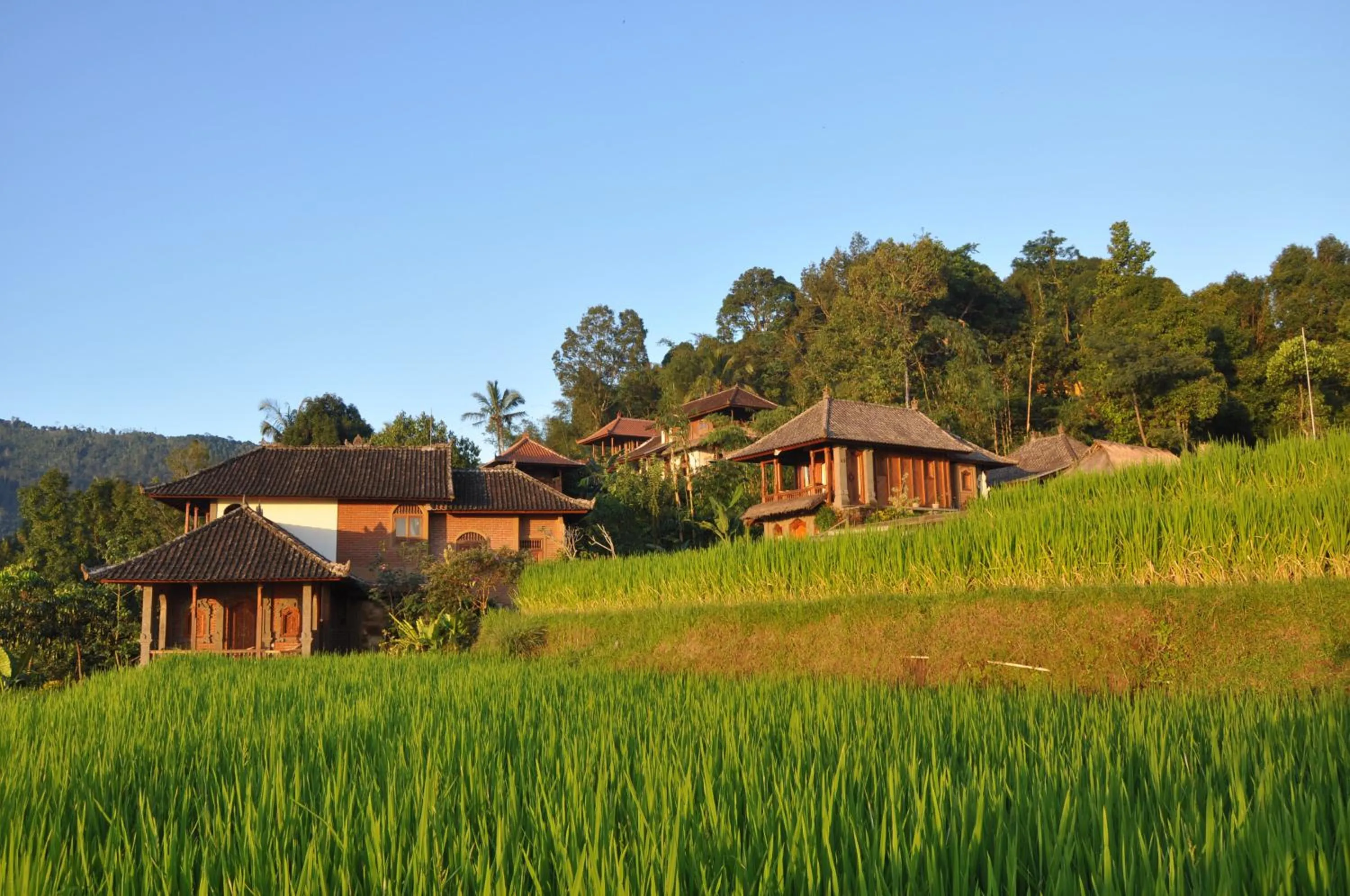 Property building in Puri Lumbung Cottages Restaurant & Spa Munduk